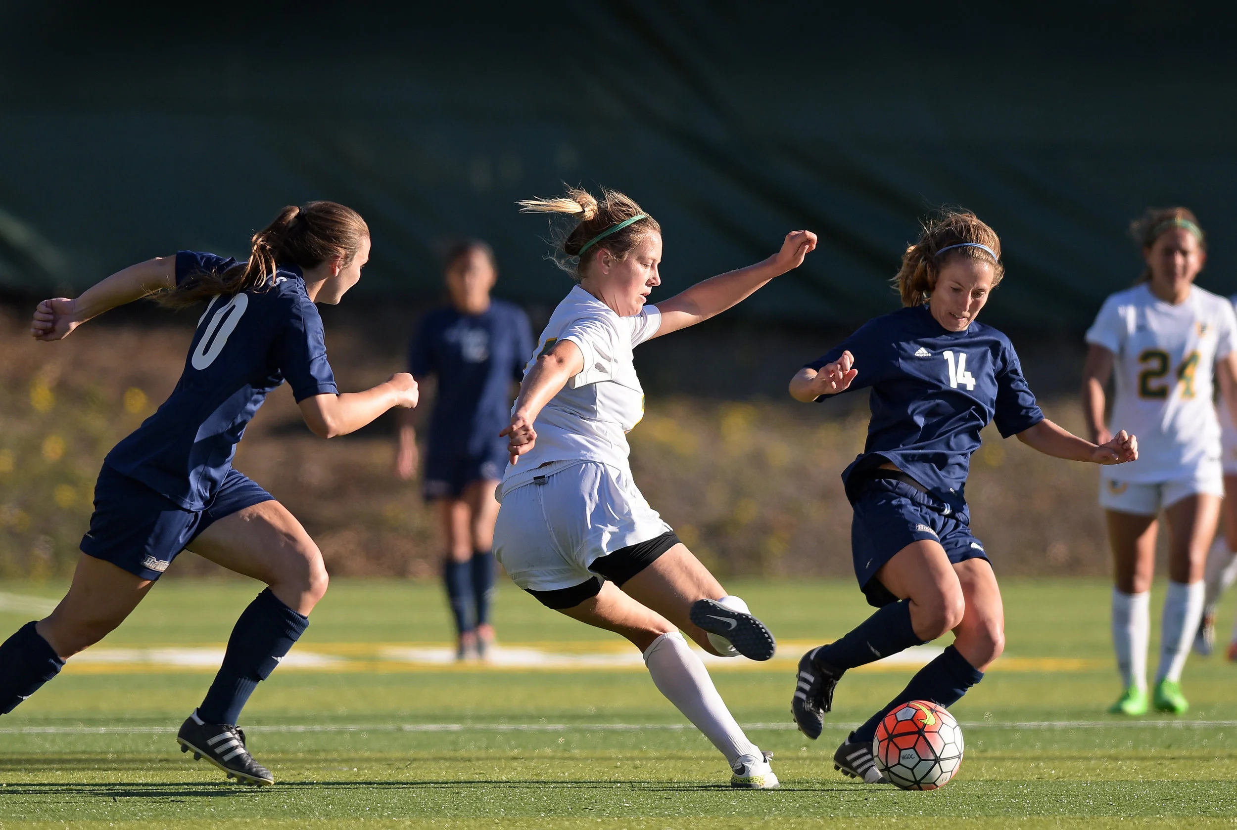 USF vs UC DAVIS NCAA SOCCER 2016 Photo Noel Danseco_6950.jpg