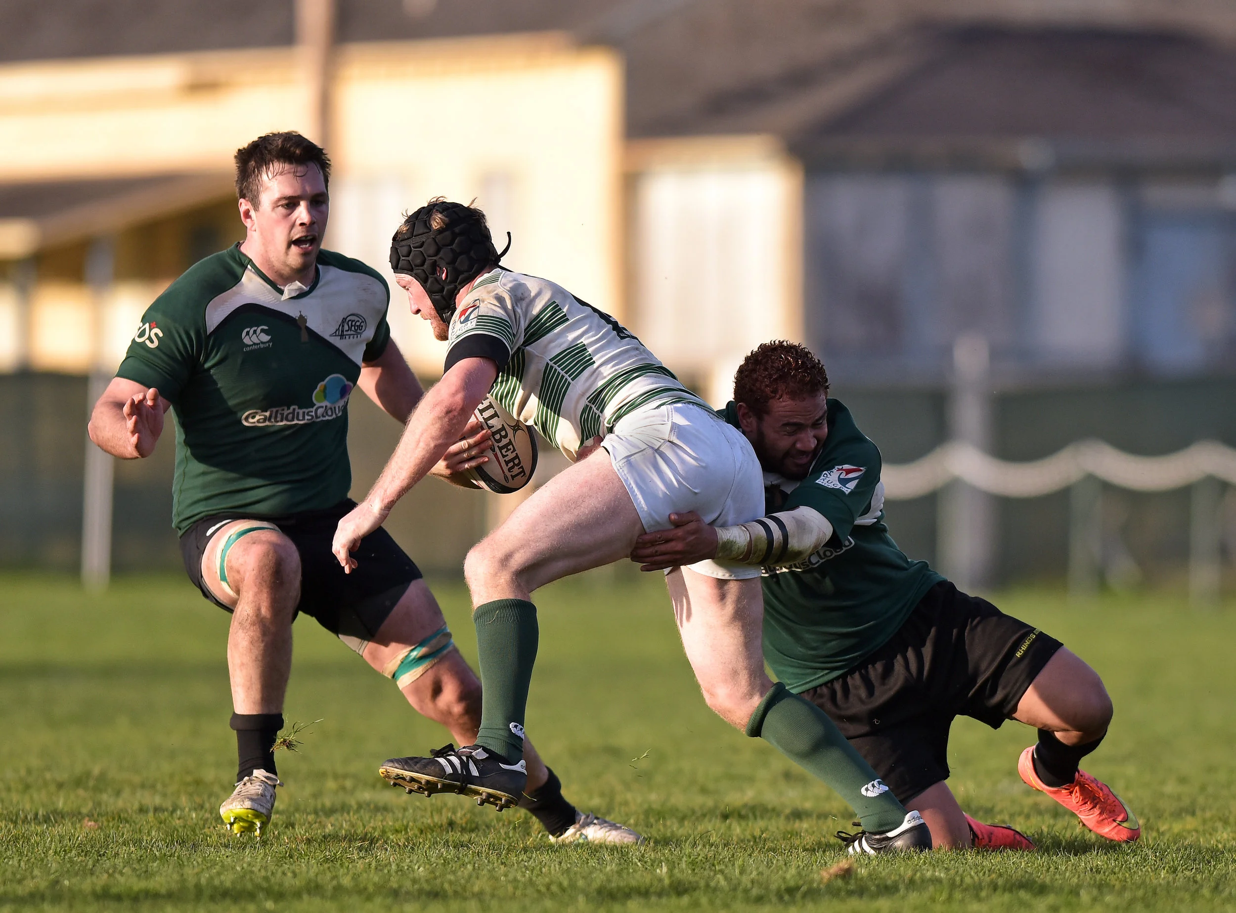 SFGG vs DENVER BARBARIANS 2016 PRP RUGBY Photo Noel Danseco_5880.jpg