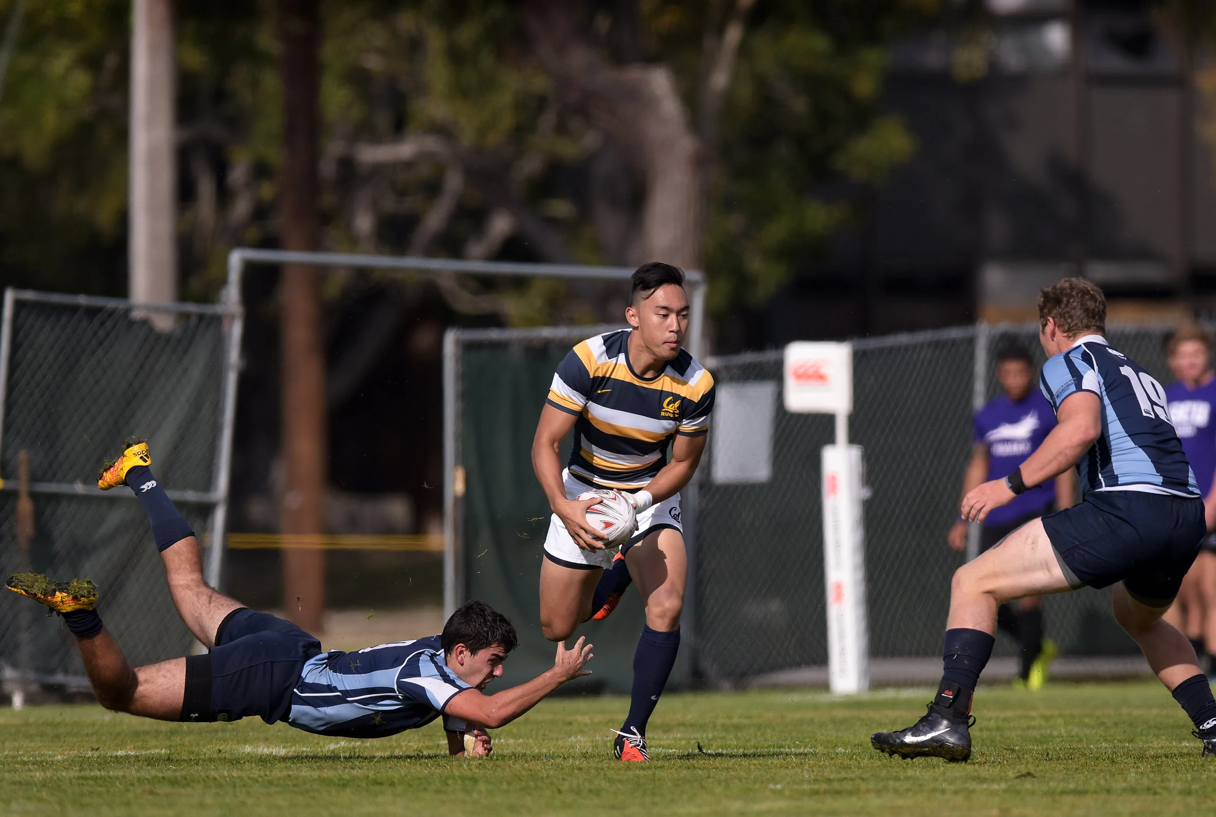 RUGBY WEST COAST COLLEGE 7s 2016 USD vs CAL Photo Noel Danseco_4784.jpg