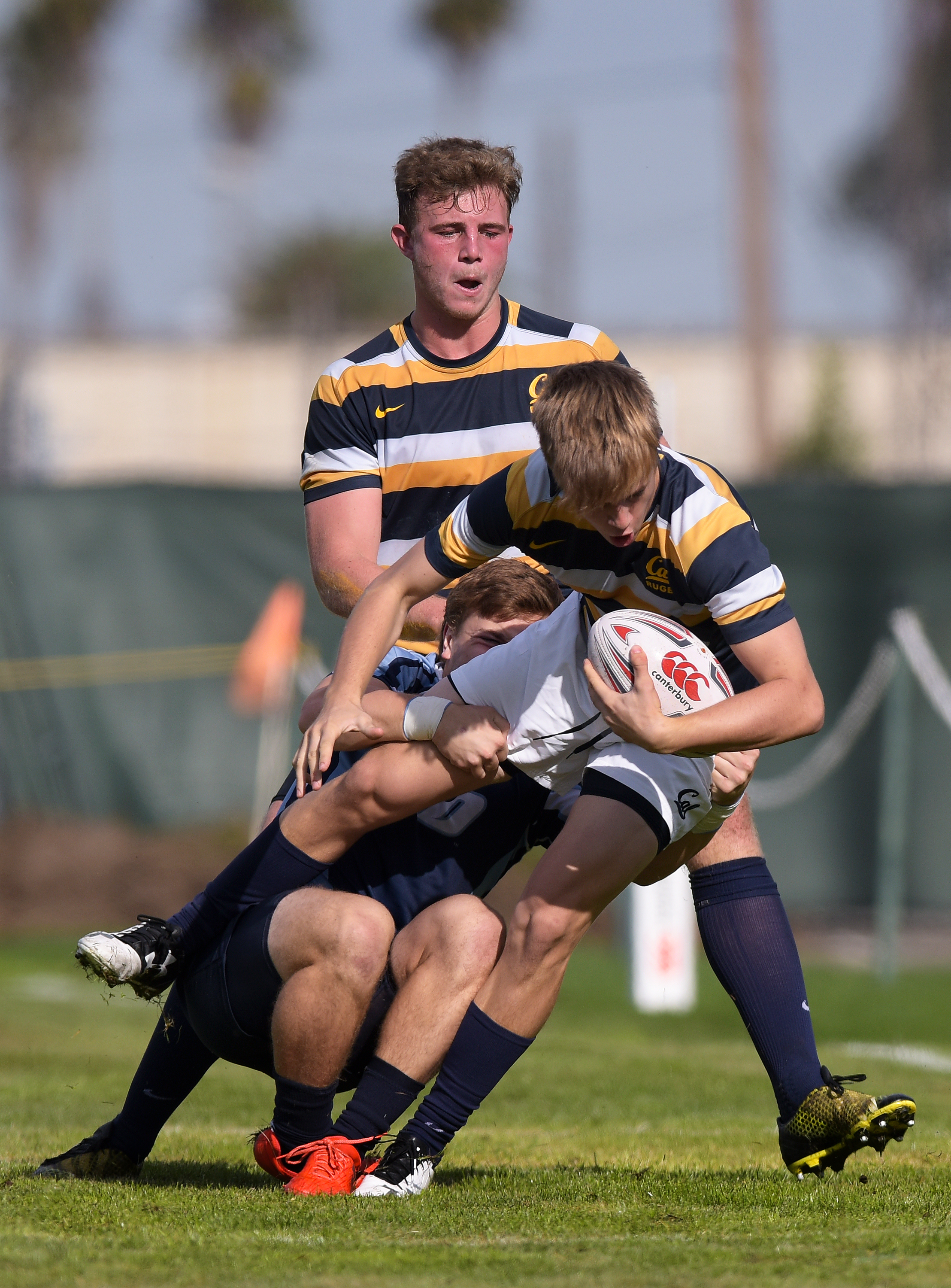 RUGBY WEST COAST COLLEGE 7s 2016 USD vs CAL Photo Noel Danseco_4802.jpg