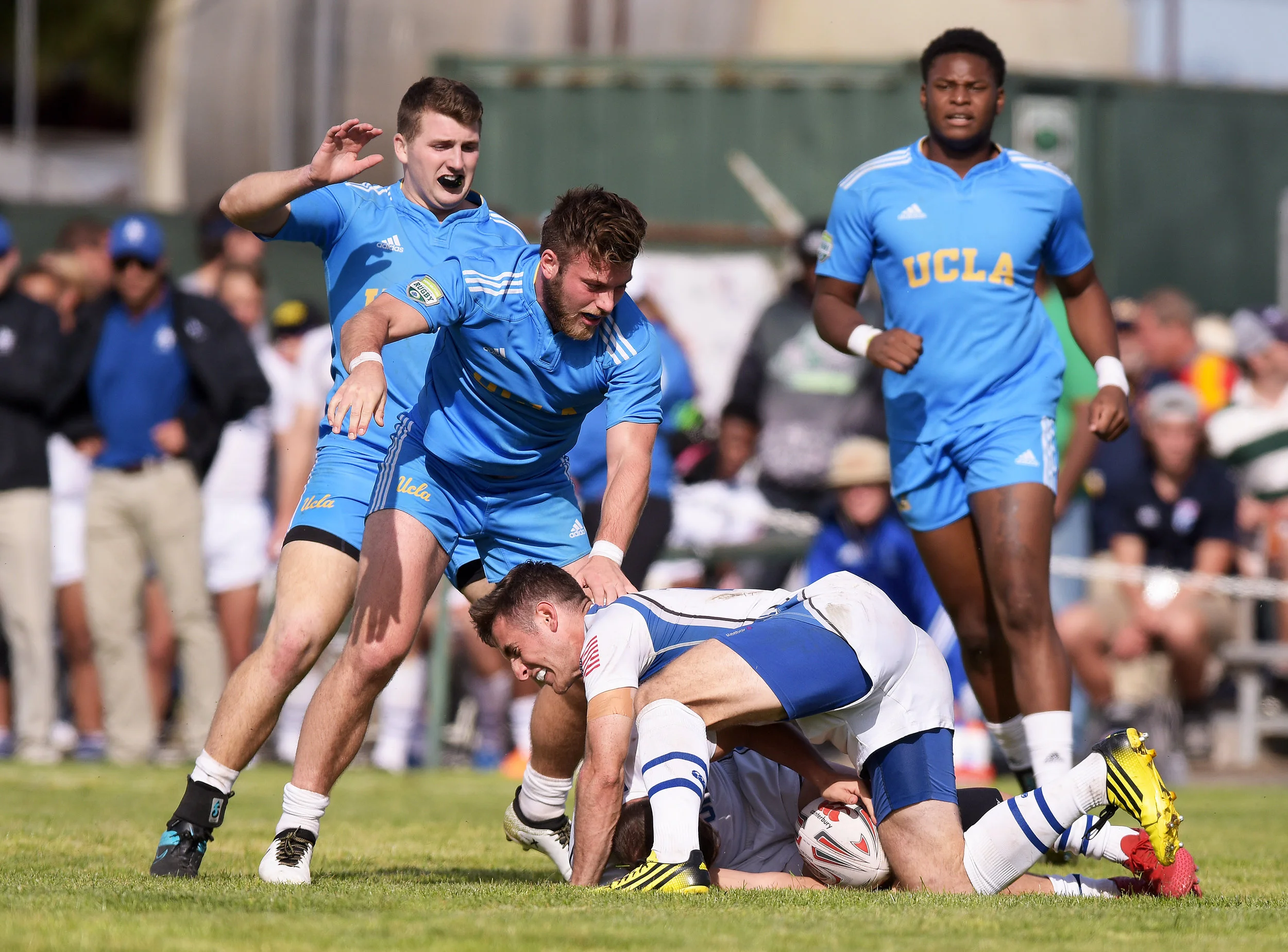 RUGBY WEST COAST COLLEGE 7s 2016 UCLA vs AIR FORCE Photo Noel Danseco_6617.jpg