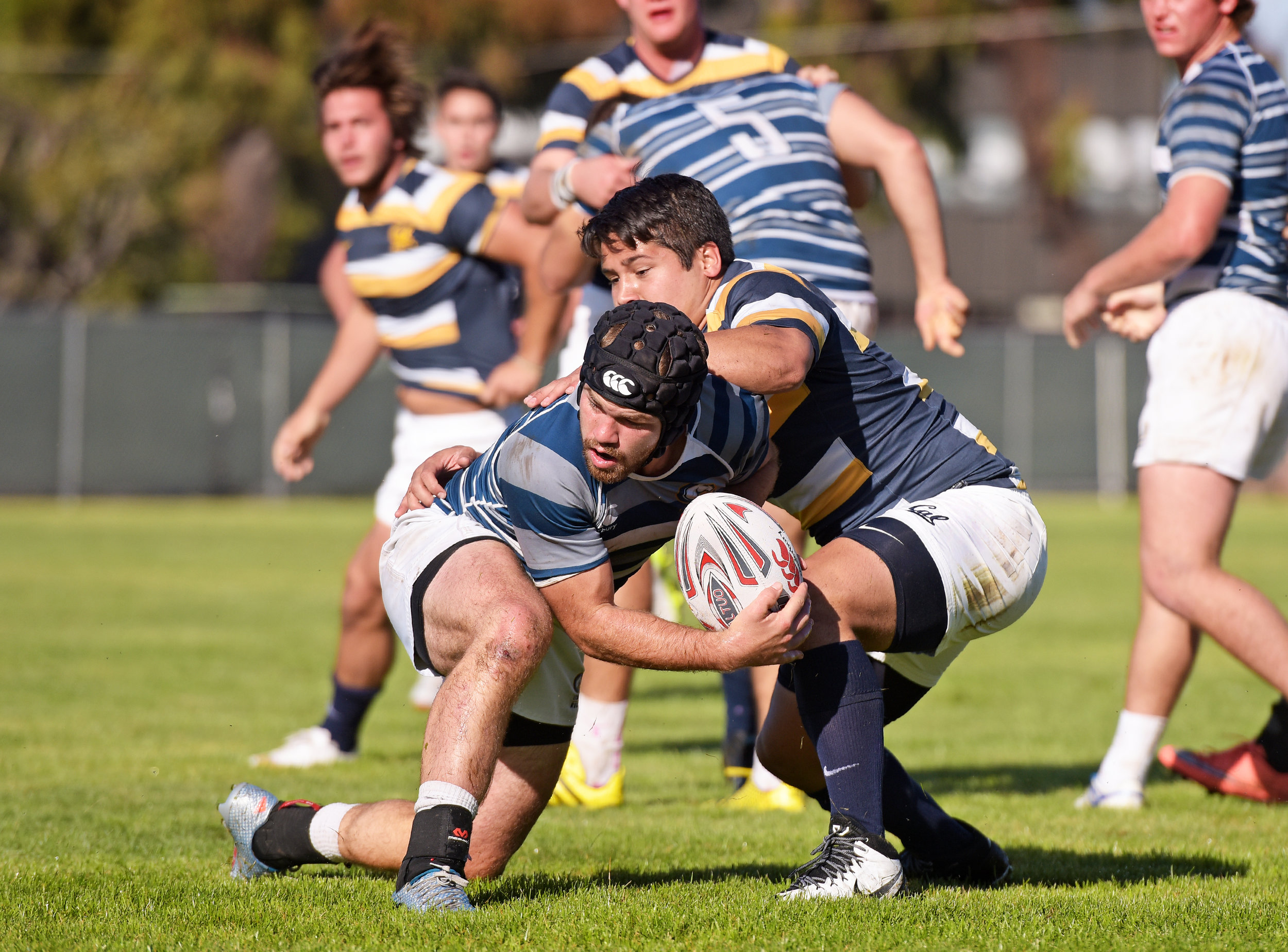 CAL VS UC DAVIS COLLEGE RUGBY WEST COAST 7s 2016 Photo Noel Danseco_2479.jpg