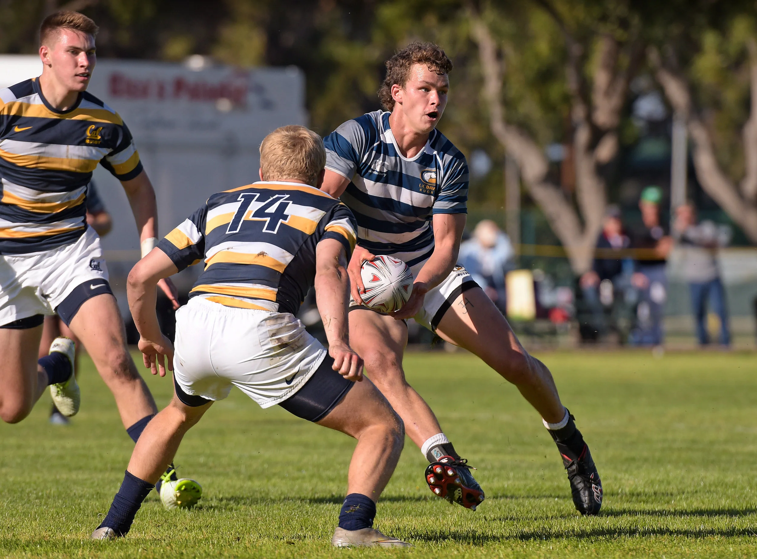 CAL VS UC DAVIS COLLEGE RUGBY WEST COAST 7s 2016 Photo Noel Danseco_2515.jpg