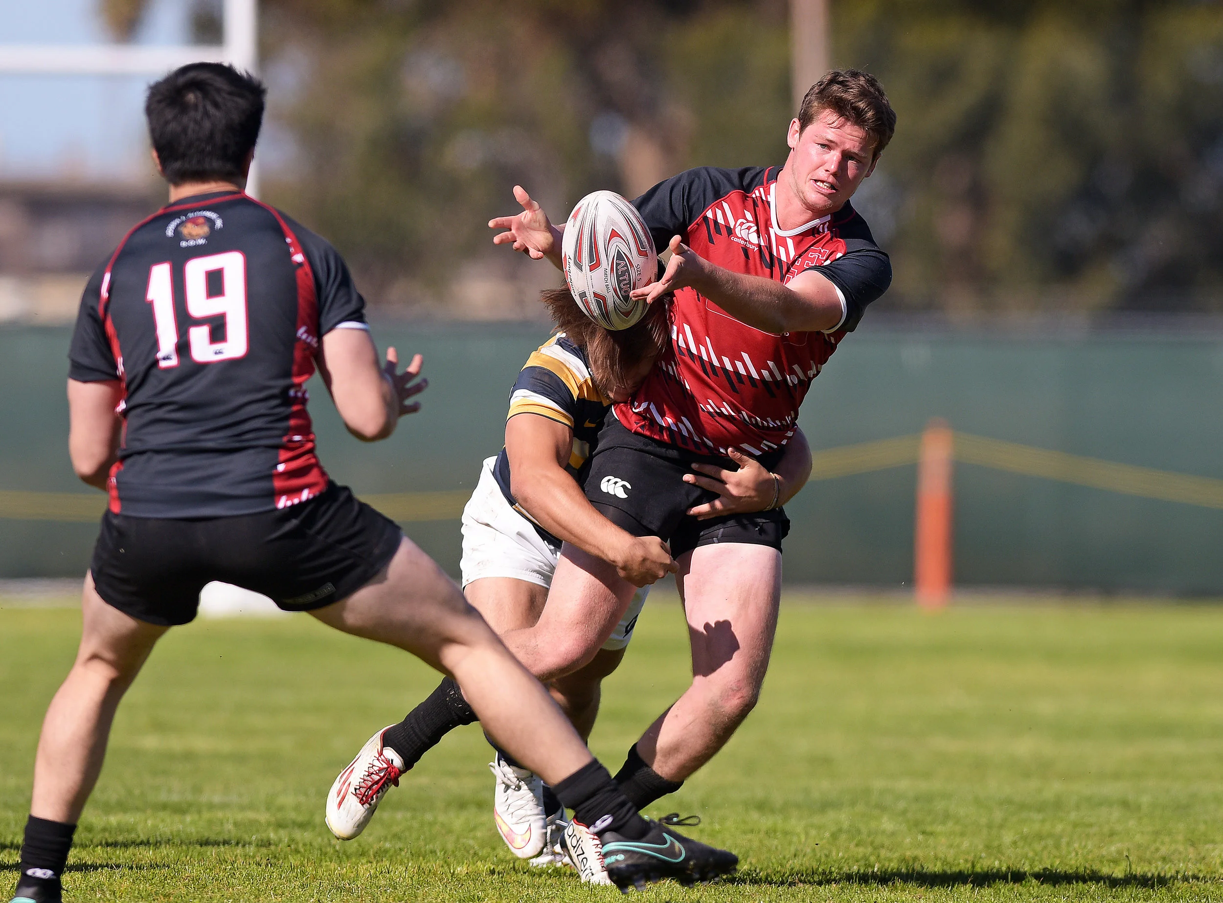 CAL VS SANTA CLARA COLLEGE RUGBY WEST COAST 7s 2016 Photo Noel Danseco_8689.jpg