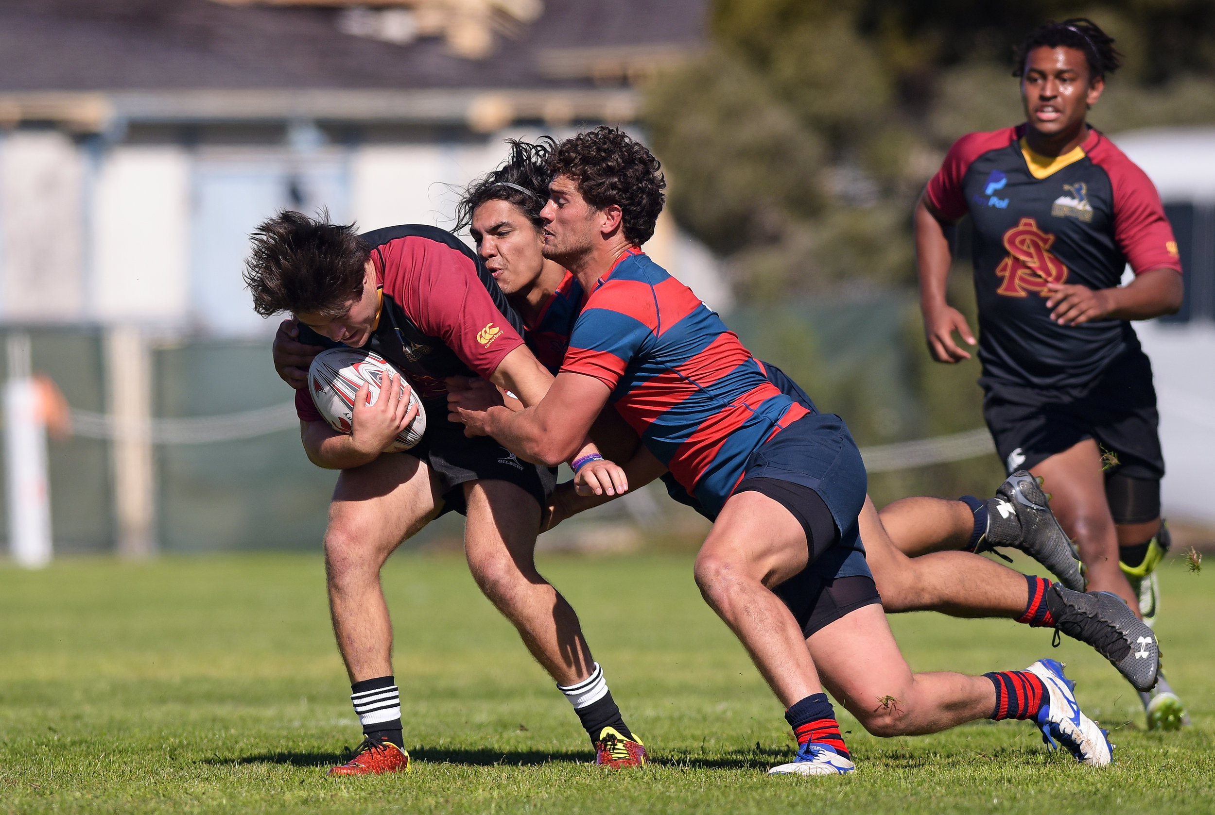 SAINT MARY'S VS ARIZONA STATE COLLEGE RUGBY WEST COAST 7s 2016 Photo Noel Danseco_8148.jpg