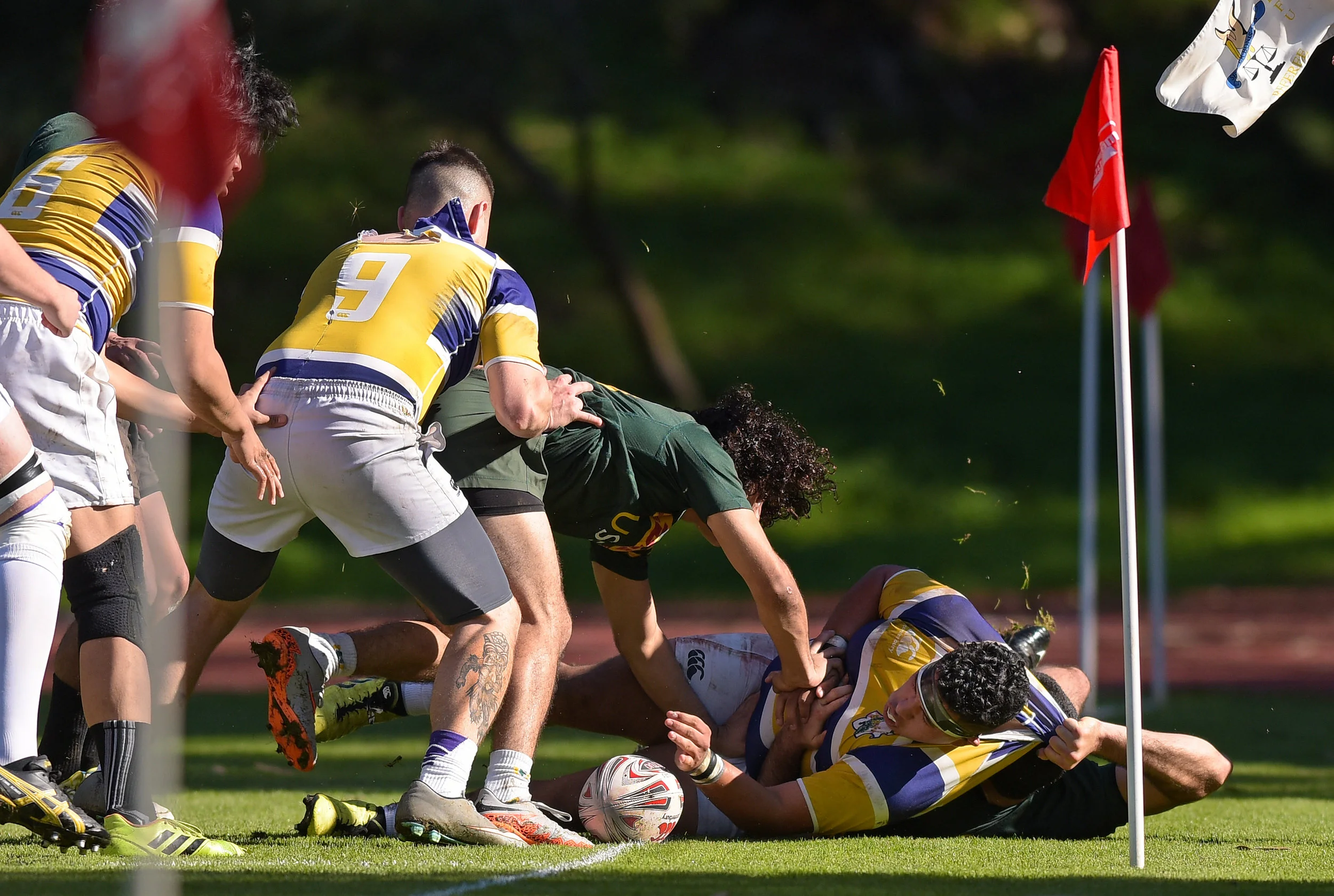 SF STATE VS USF RUGBY BATTLE OF SF 2016 Photo Noel Danseco_6326.jpg