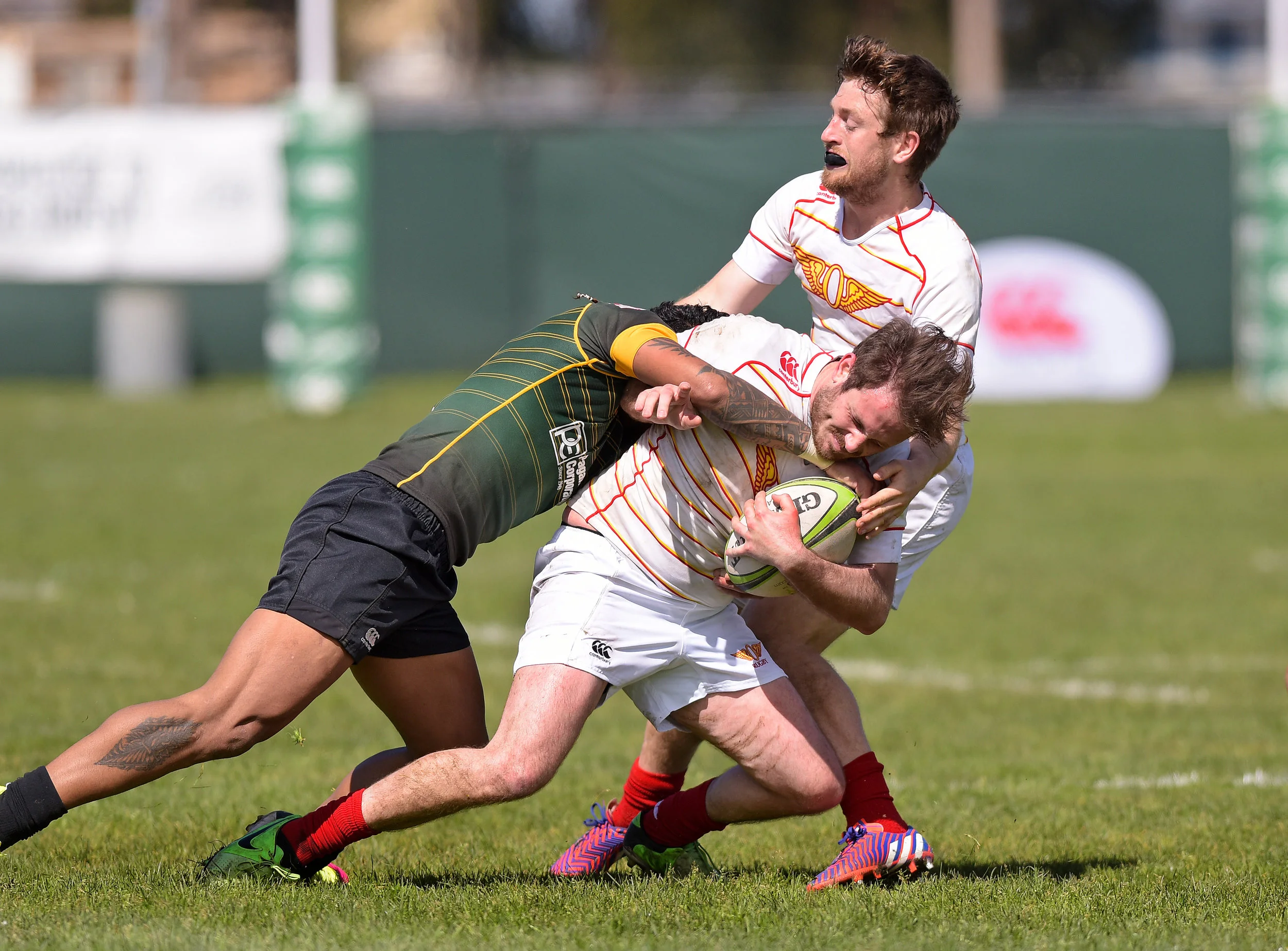 SFGG VS OLYMPIC CLUB D1 RUGBY 2017 Photo Noel Danseco_7699.jpg
