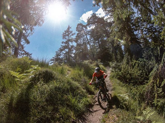 Dry and dusty trails the whole day. And the sun was relentless. ๐ฅ
...
More info soon on @ridebikester
...
Thanks a lot for the tickets @flims_switzerland ๐
...
#mountainbike #freeride #mtb #singletrail #outdoor #goprohero6 #mtbnation #mtblife #enduromtb #plantbasedathlete #MountainBiking #mtblove #instamtb #lifebehindbars #mtbswitzerland #enduro #mountainbikinglife #flowtrail #lifeofadventure #liveoutdoors #makemoments #simplyadventure #bikemagazin #adventuretillwedie #welivetoexplore #neverstopexploring #flims #runcatrail