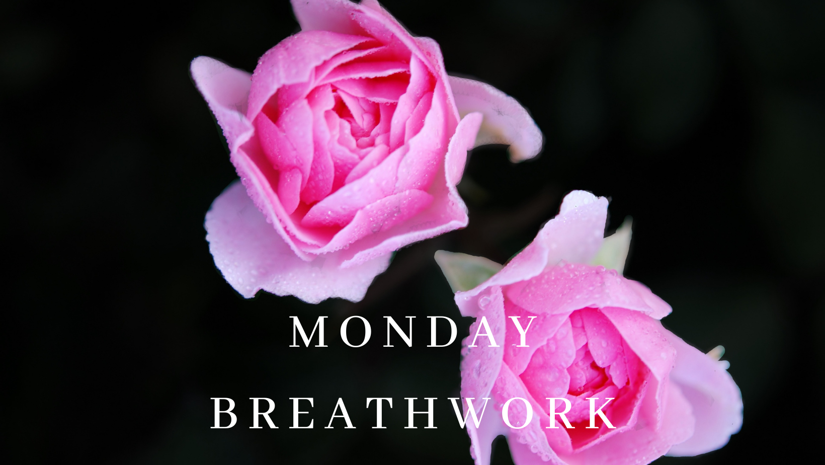 Newsletter + Website Misc Graphics_Landscape.png