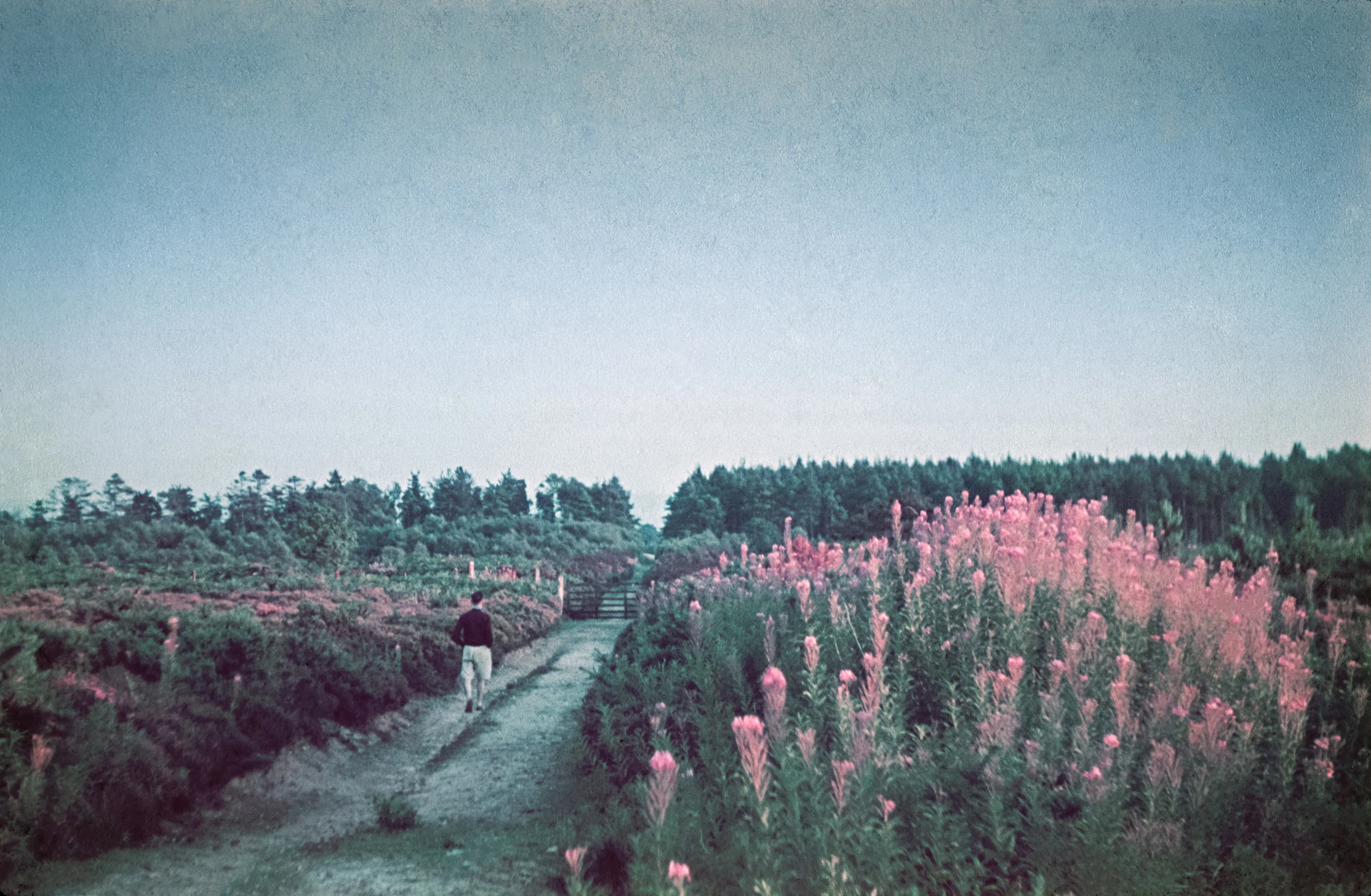 Yorkshire Moors, 1939