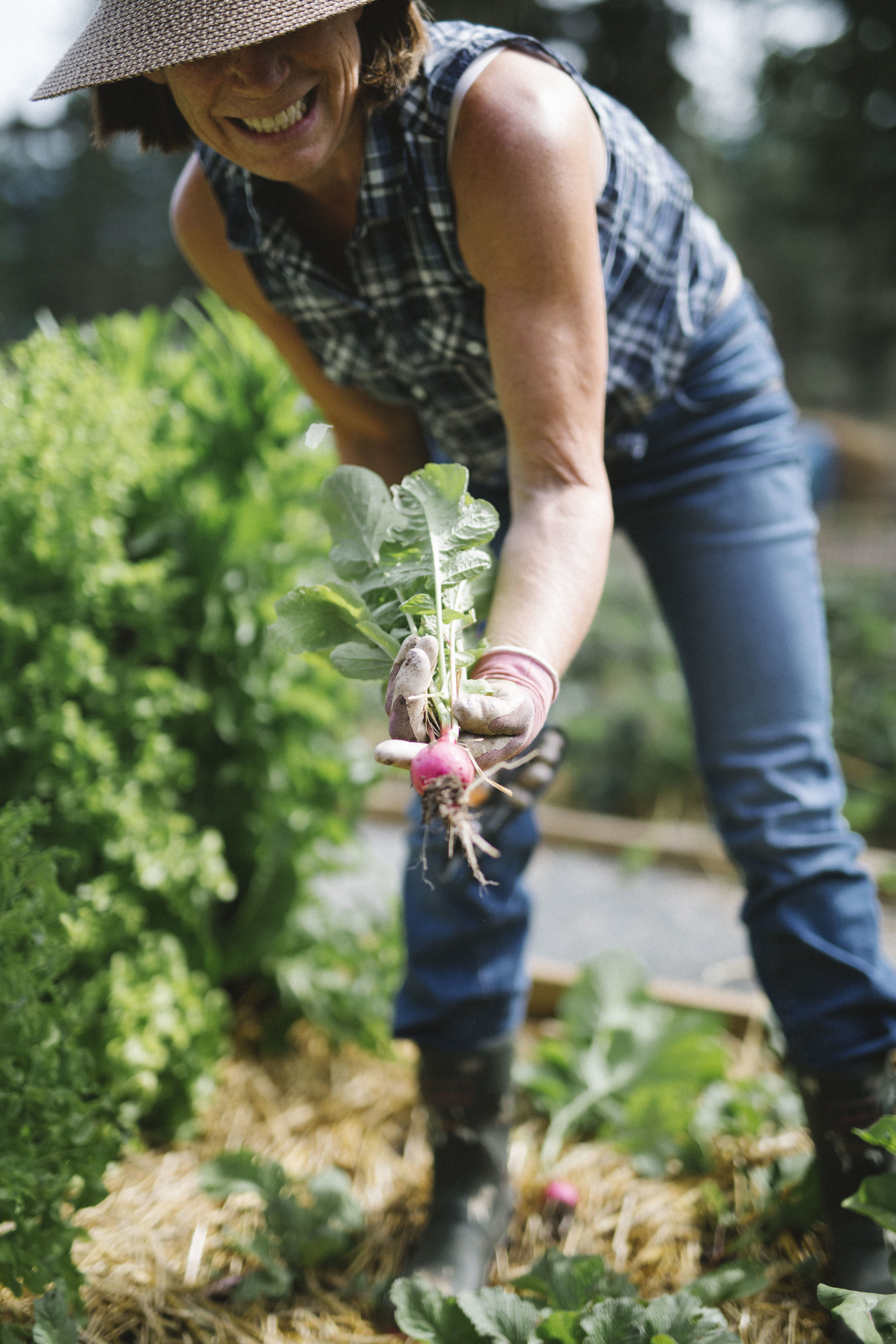 Sunny Gardening on the Island