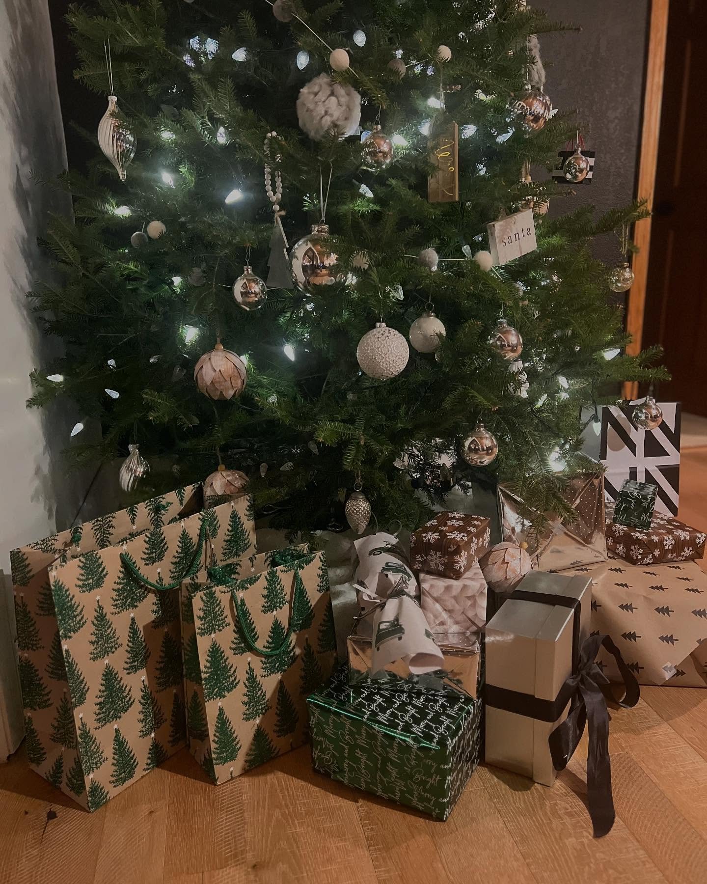 MERRY CHRISTMAS EVERYONE🎄