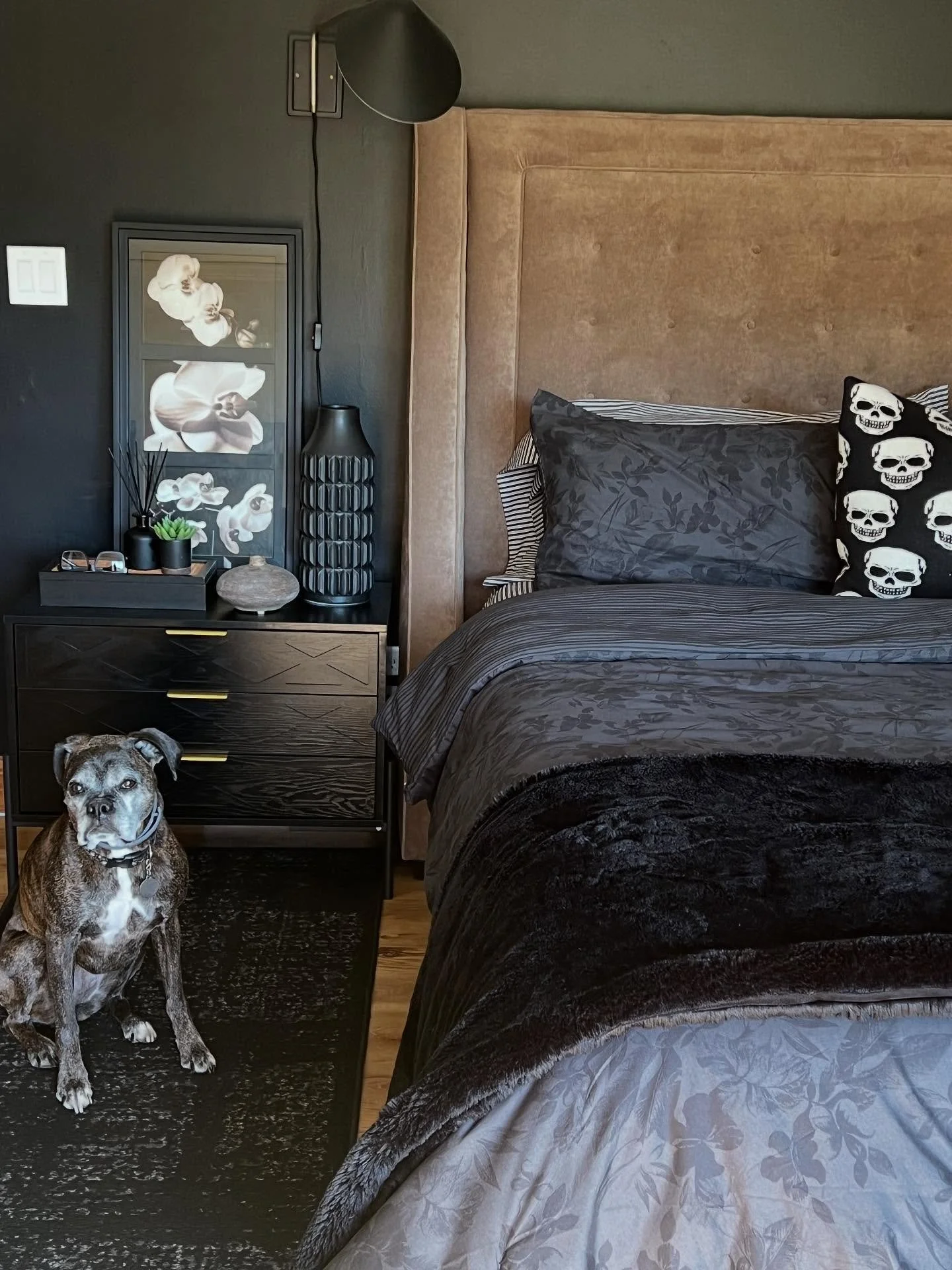 A little changing of the season ☠️ #bedroominspo #17street #falldecor #october