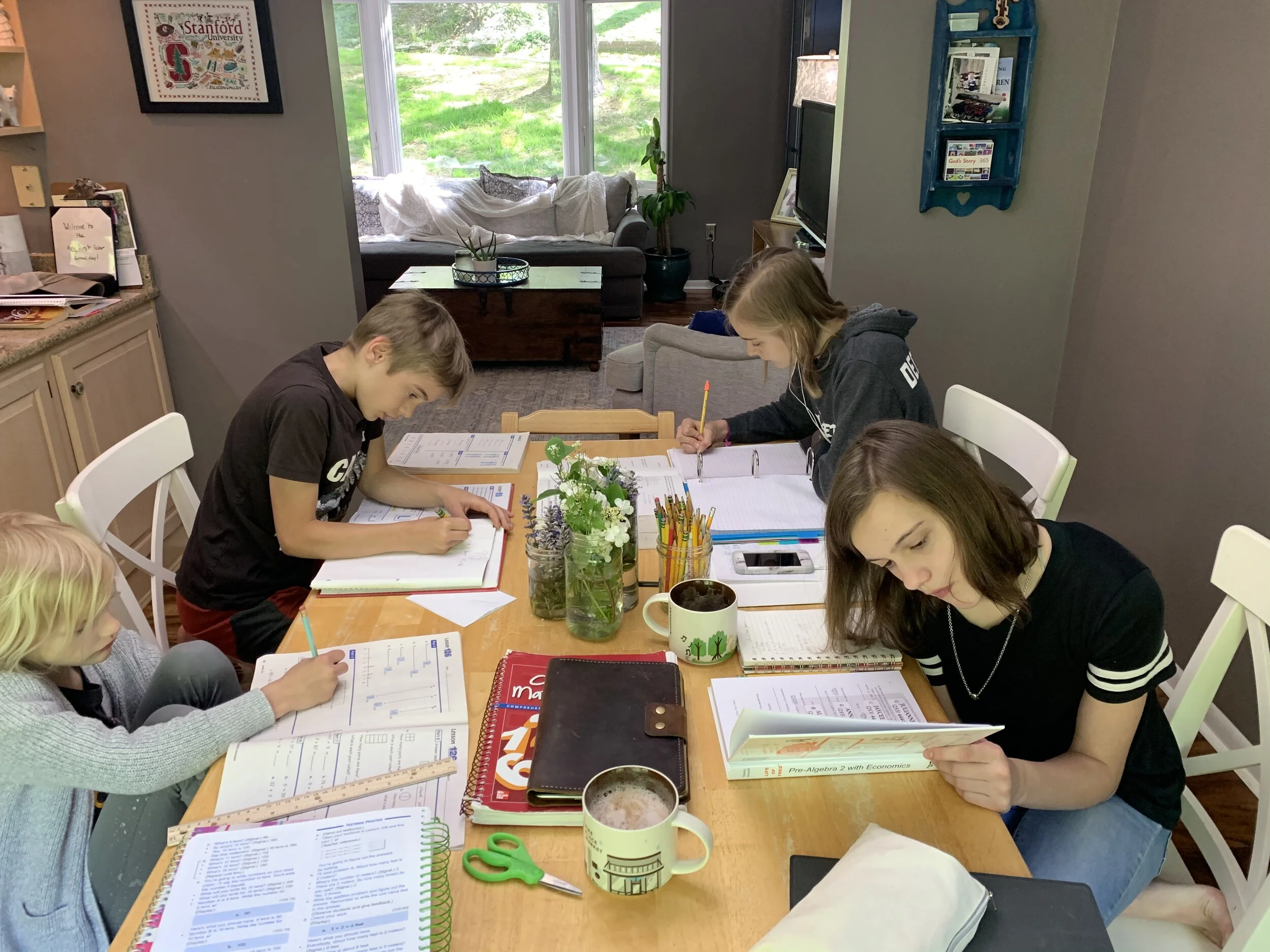 Poor Logic in "The Risks of Homeschooling"