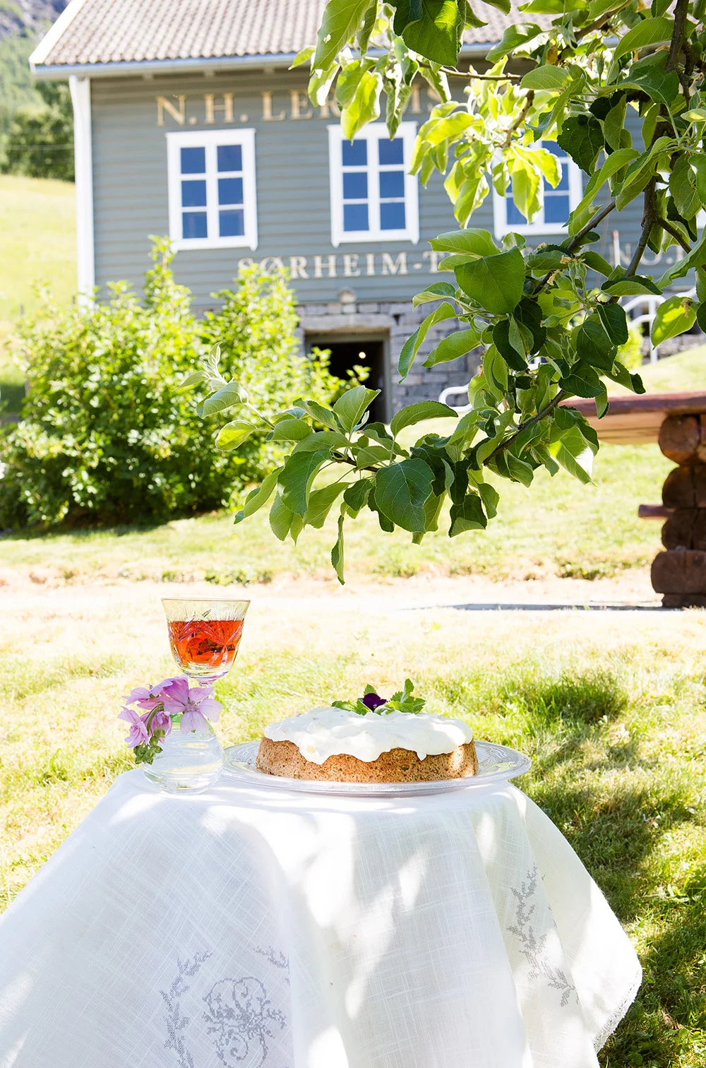 11. Kake og saft i hagen.jpg