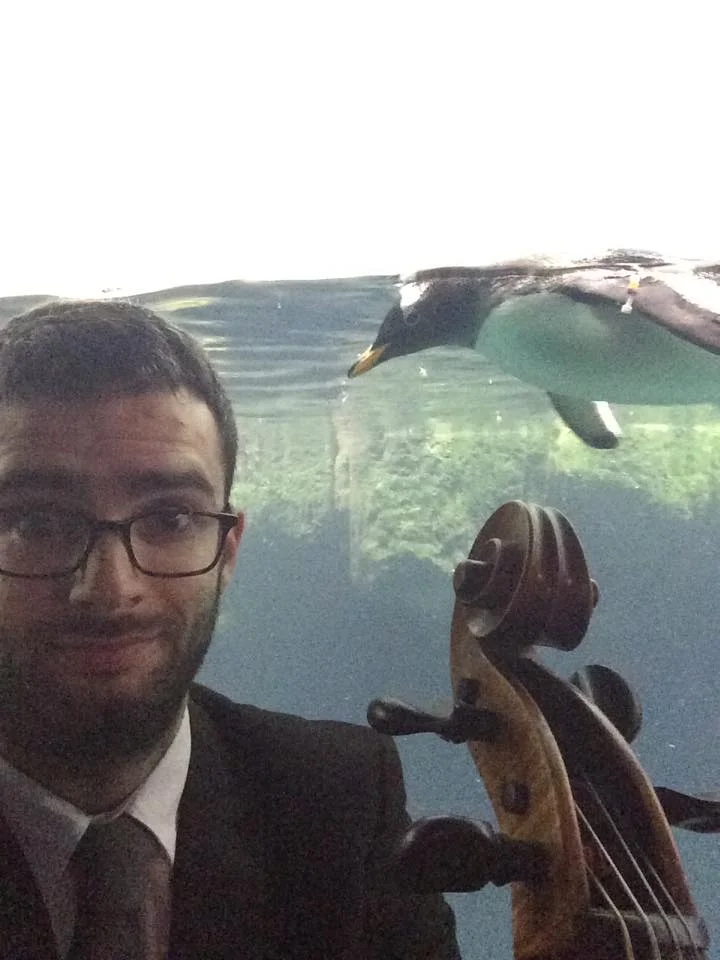 Penguin friend