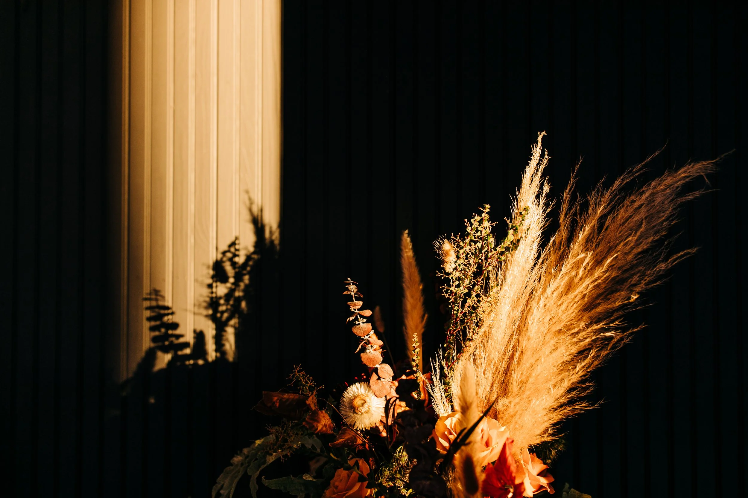 A picture of dried florals in a large strip of golden light.