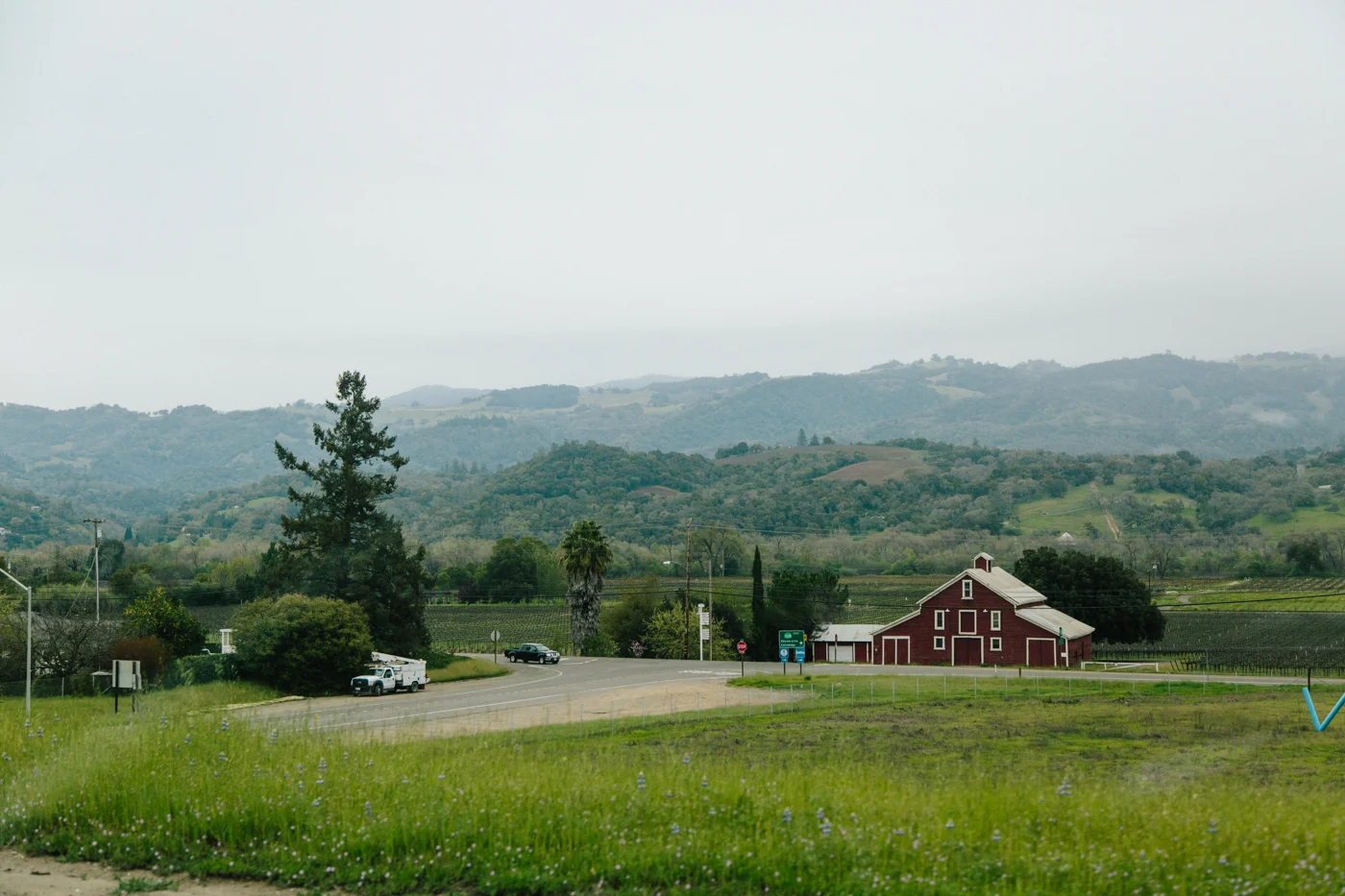 IMG_5661.jpg