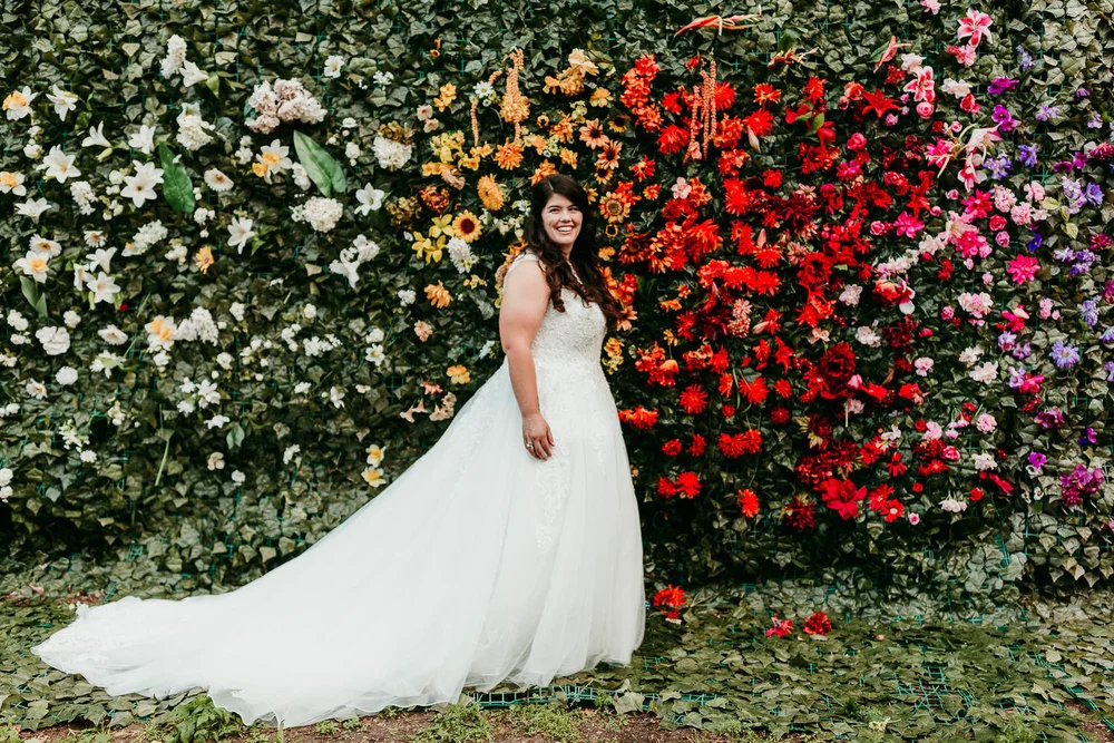 fitted lace wedding dress Justin Alexander Bridal Dress 88406 – Alexandra's Boutique main image 0