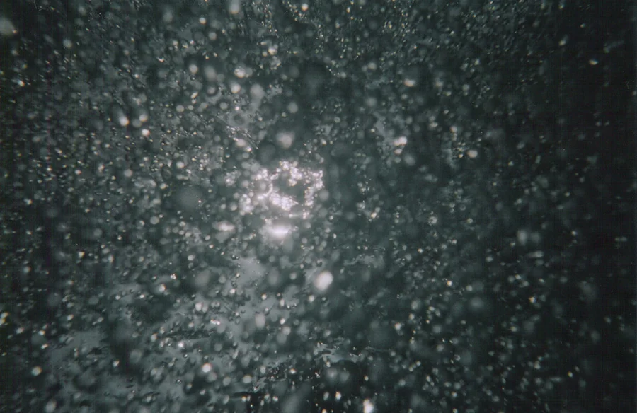 black bubbles.jpg