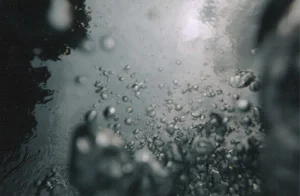 bubbles.jpg