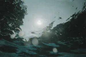 ripples2.jpg