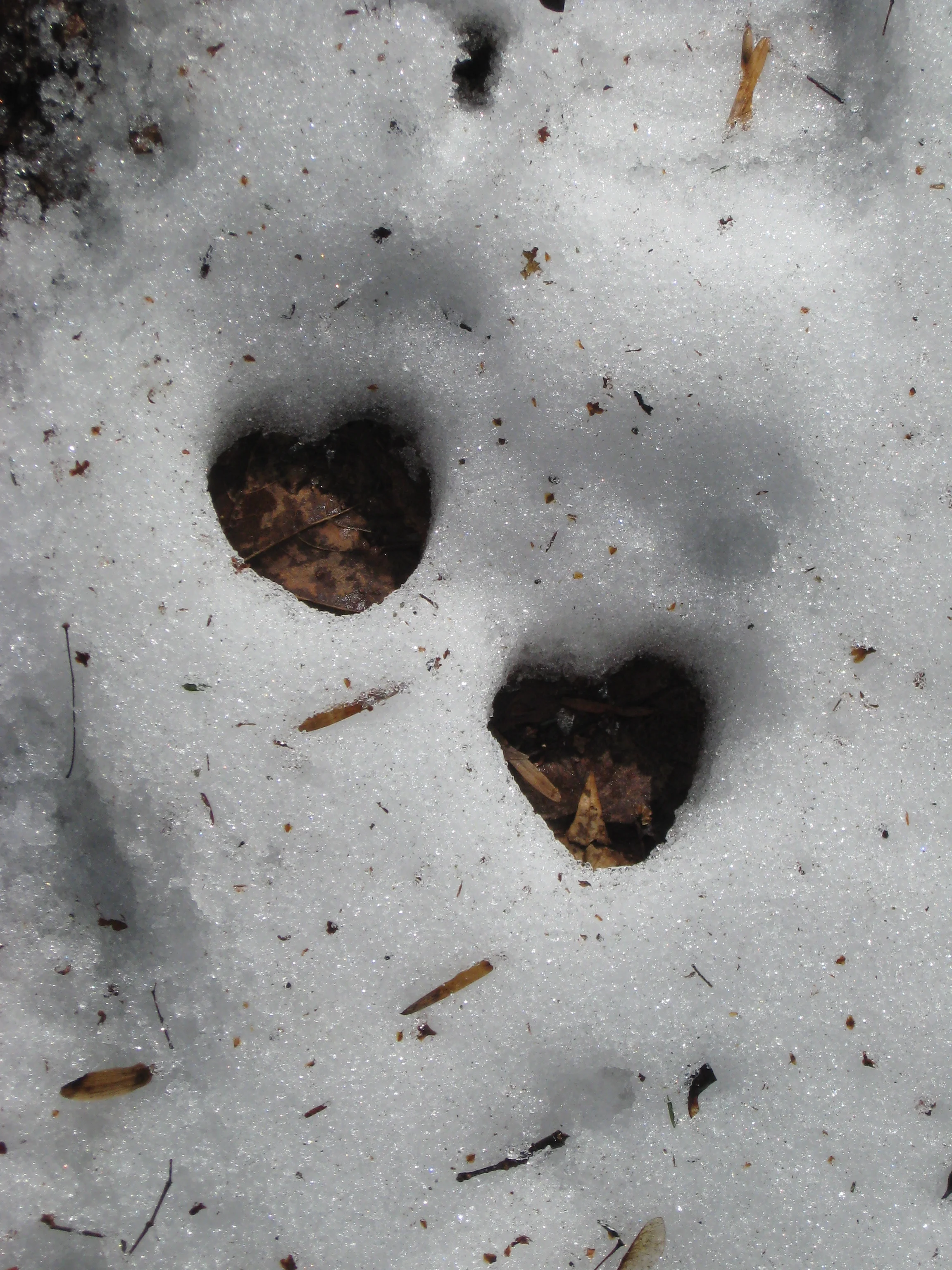 "Of this world, I am a little part reaching outward." -William Stafford