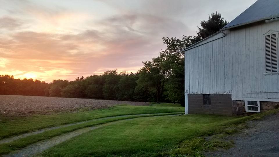 Fam farm at Sunset, Kidron OH