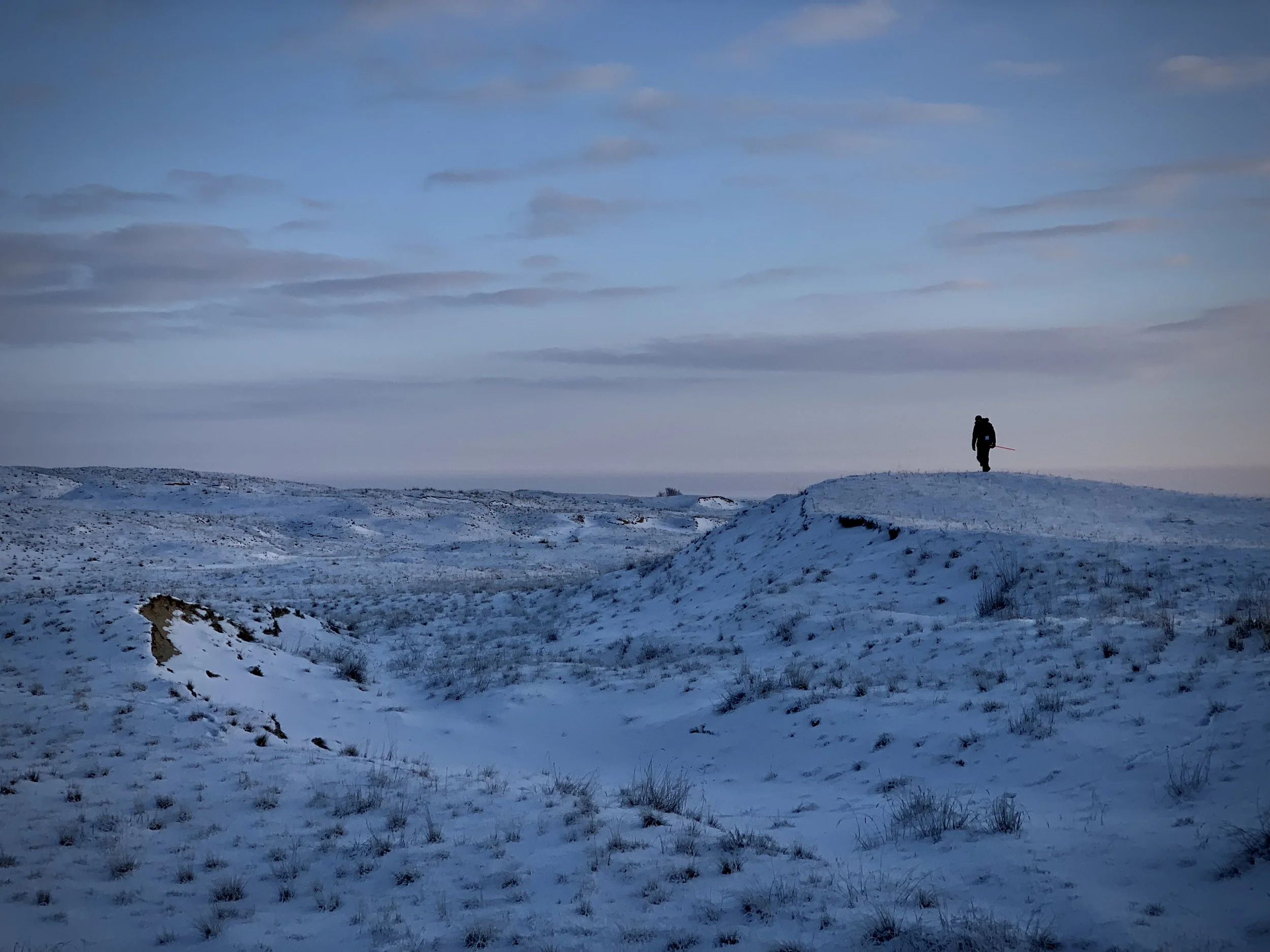 HOBBY LOBBY "Spring"