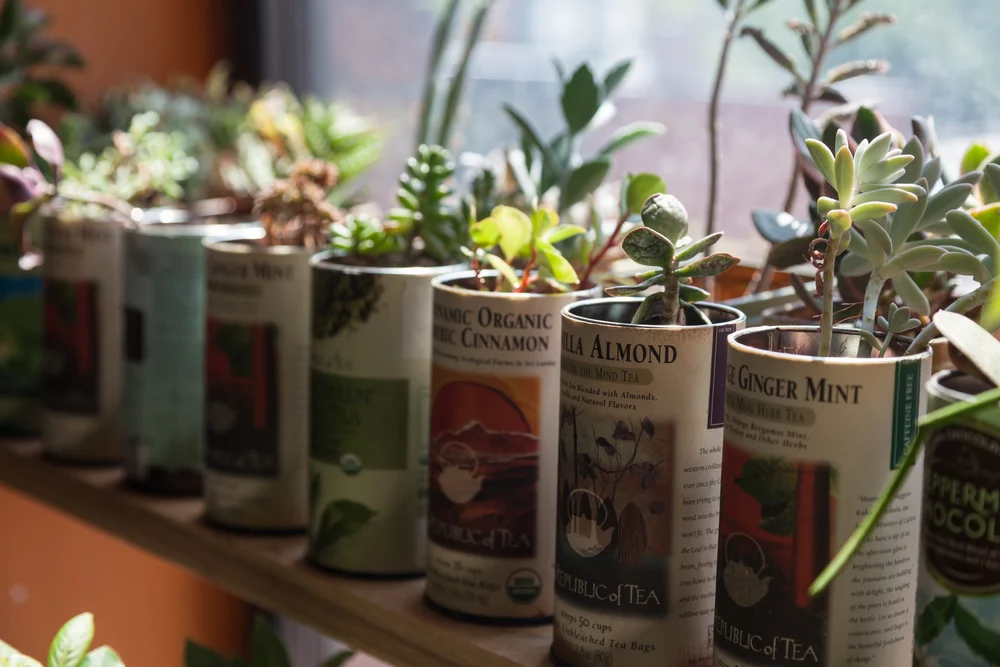 grow lights for house plants Full Spectrum Indoor Plant Grow Light | Grow Lamp main image 0