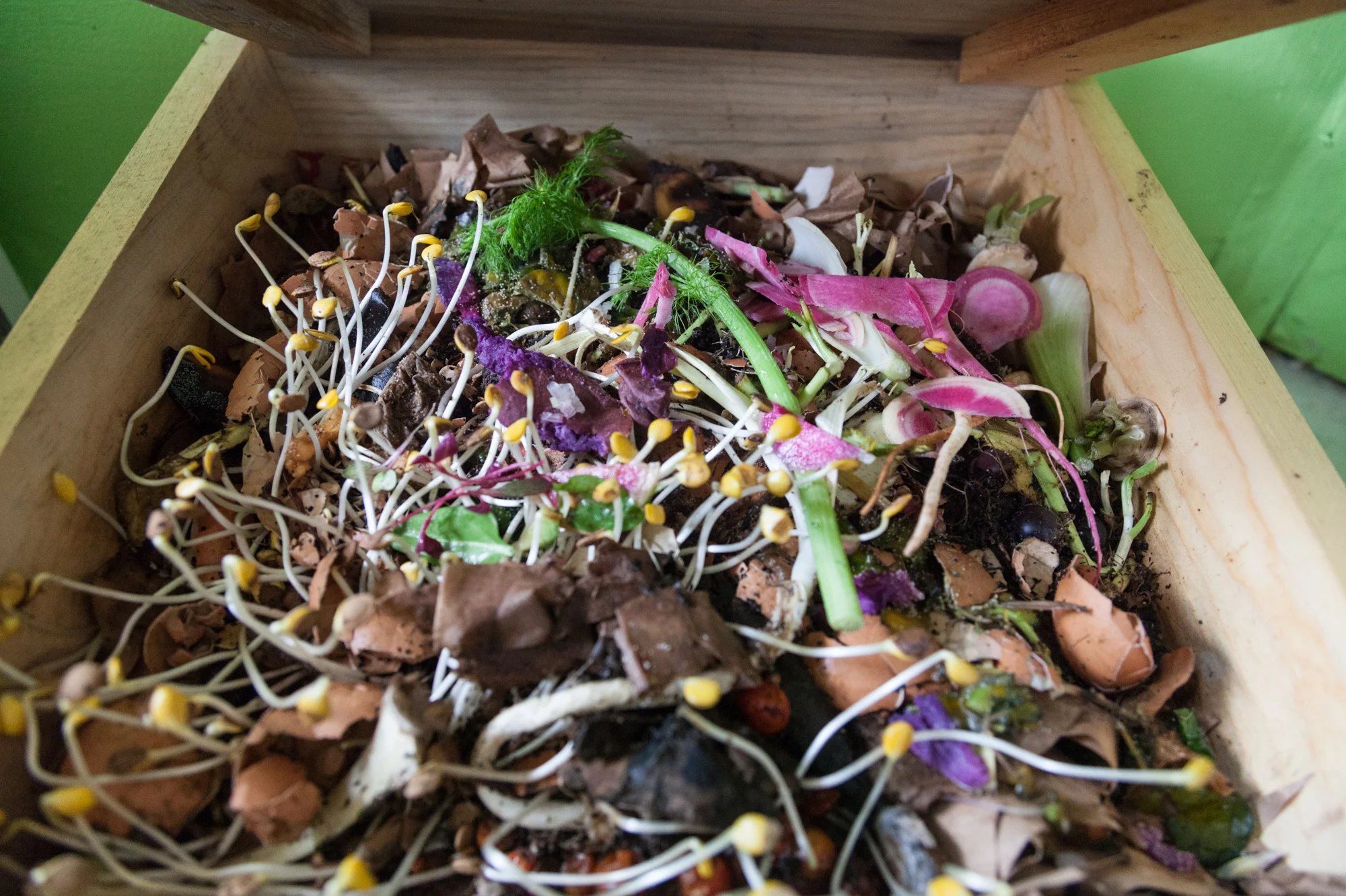 This is what my vermicomposter looks like just a month or so after use. In another couple weeks I'll likely add a second bin to the top of this. Be sure to always close the lid of your vermicomposter. Worms like to be in a dark environment and the lid helps to keep out insects, like fruit flies, which are harmless, but can be pesky. 