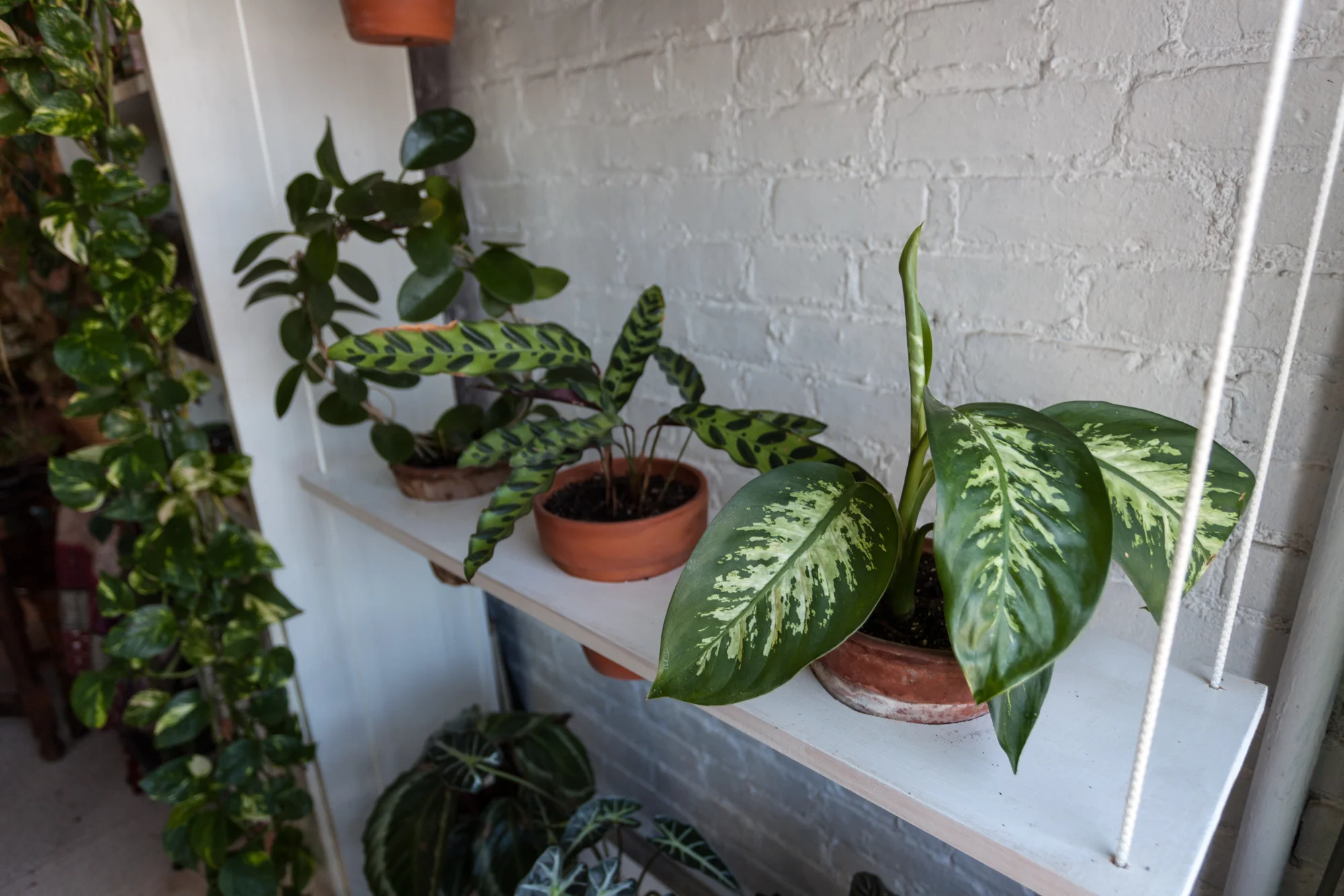 How to build a vertical swing garden