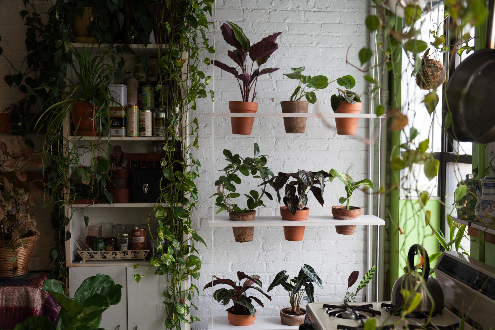 Here are the plants in the vertical swing garden. 