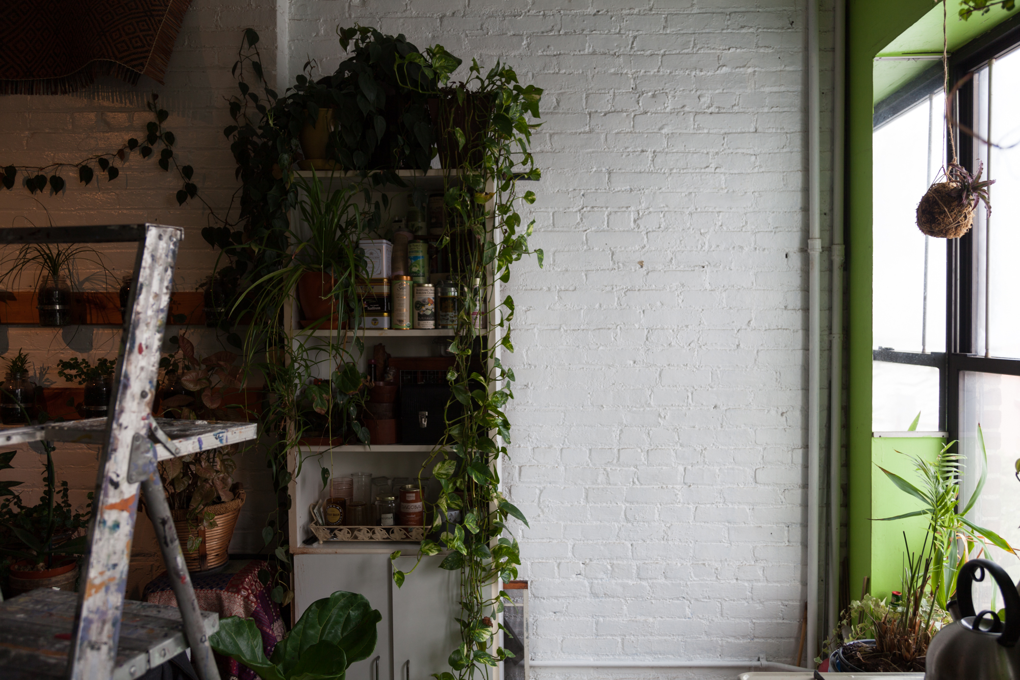 Progress of the vertical swing garden, stage 1. 