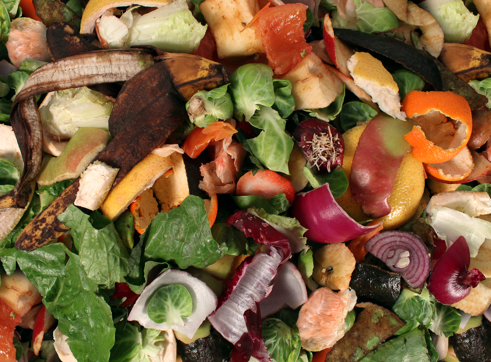 How I compost at home: Part I — freeze it! 