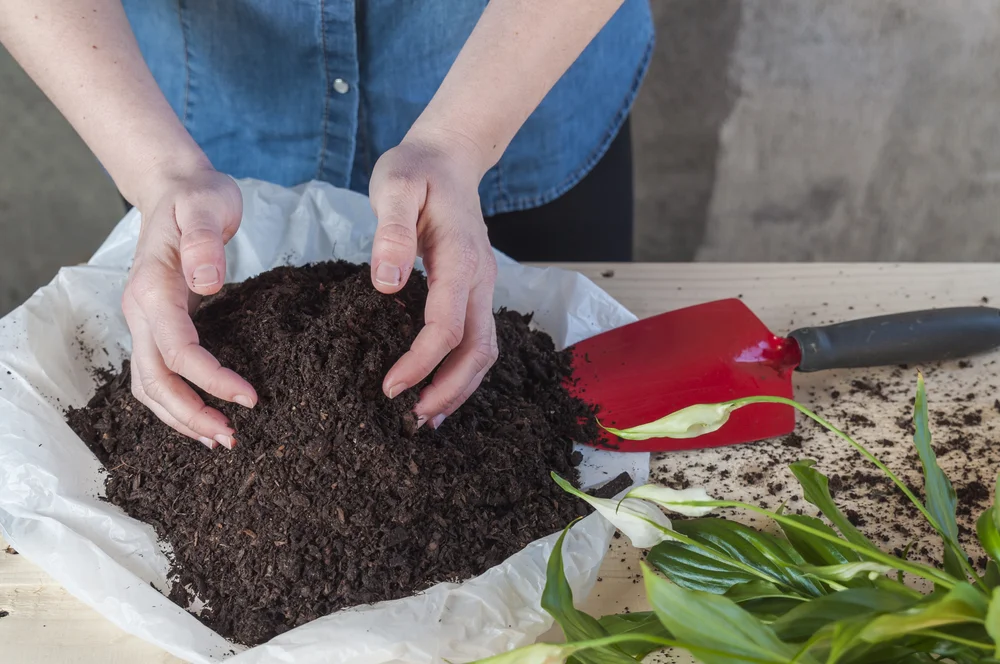 Buying plants often comes with products, like plant pots, plant tags, and plastic bags. Luckily for us, most of this can be recycled. 