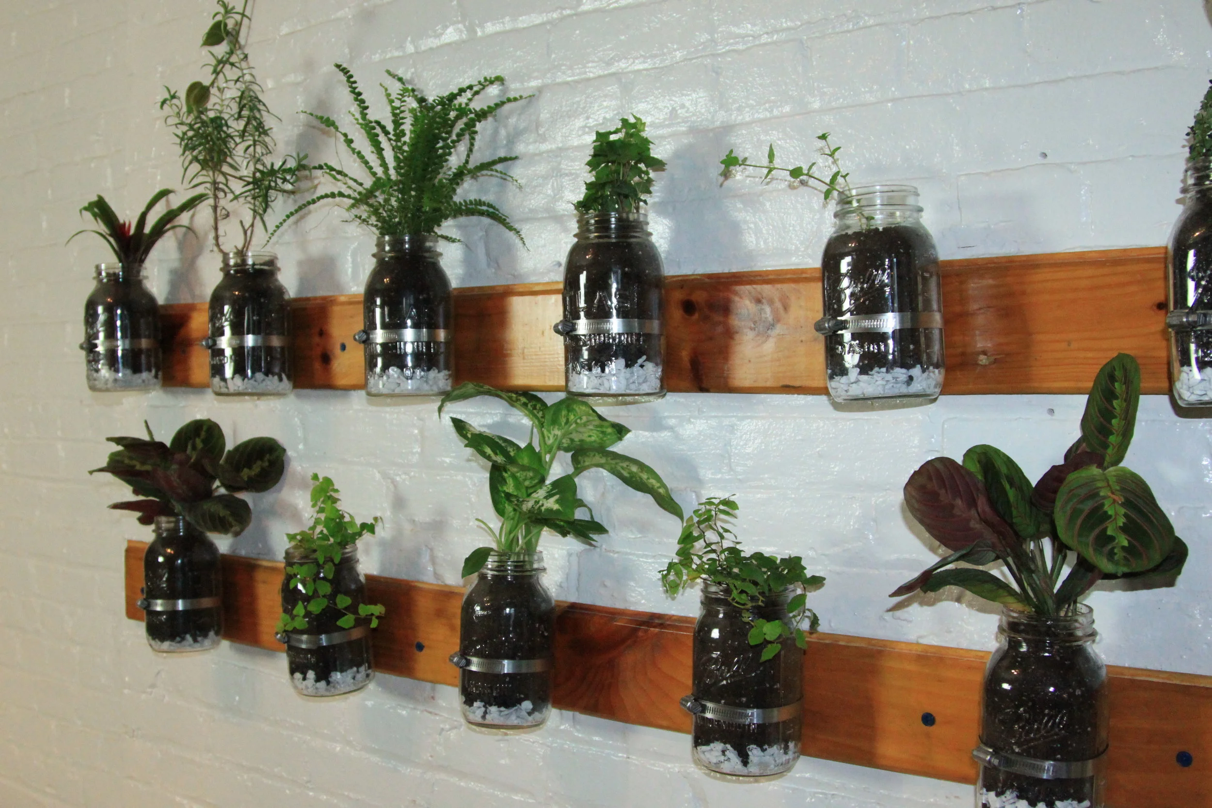 How to build a mason jar garden