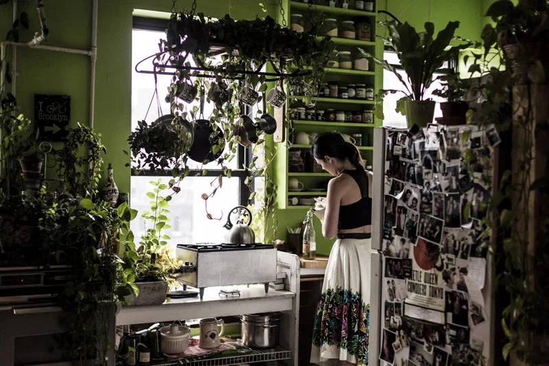 An earlier shot of my kitchen when the heart leaf philodendrons were still bushy and far less curtain-like than they are today. Photo: JAG Studios . 