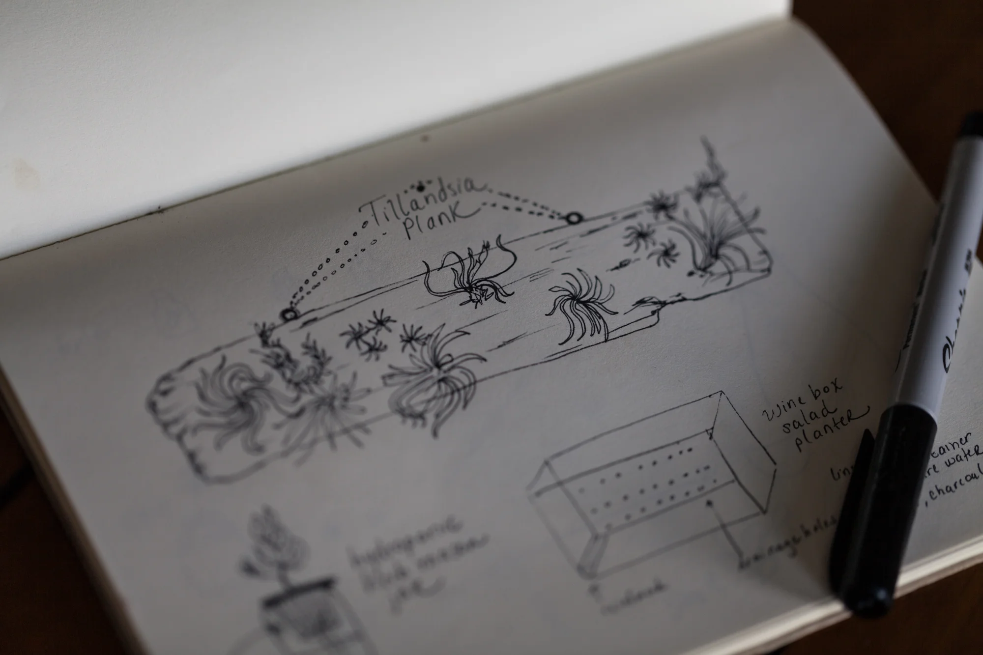 I often draw or sketch a DIY project out first just to get a sense as to how it'll look, even if it's a small project. This was the sketched Tillandsia living art piece before we started the build out.
