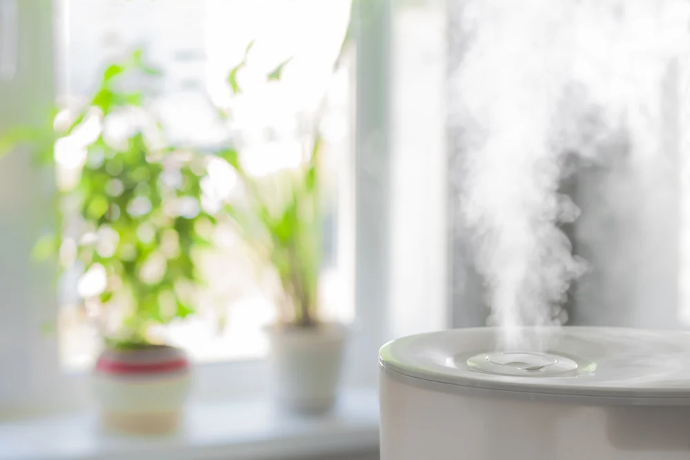 Humidifiers generally run in the $30-$250 price range, and are highly effective at bringing up humidity levels in the home. I ended up purchasing a BONECO ultrasonic humidifier and a smaller VicTsing humidifier for my plants.
