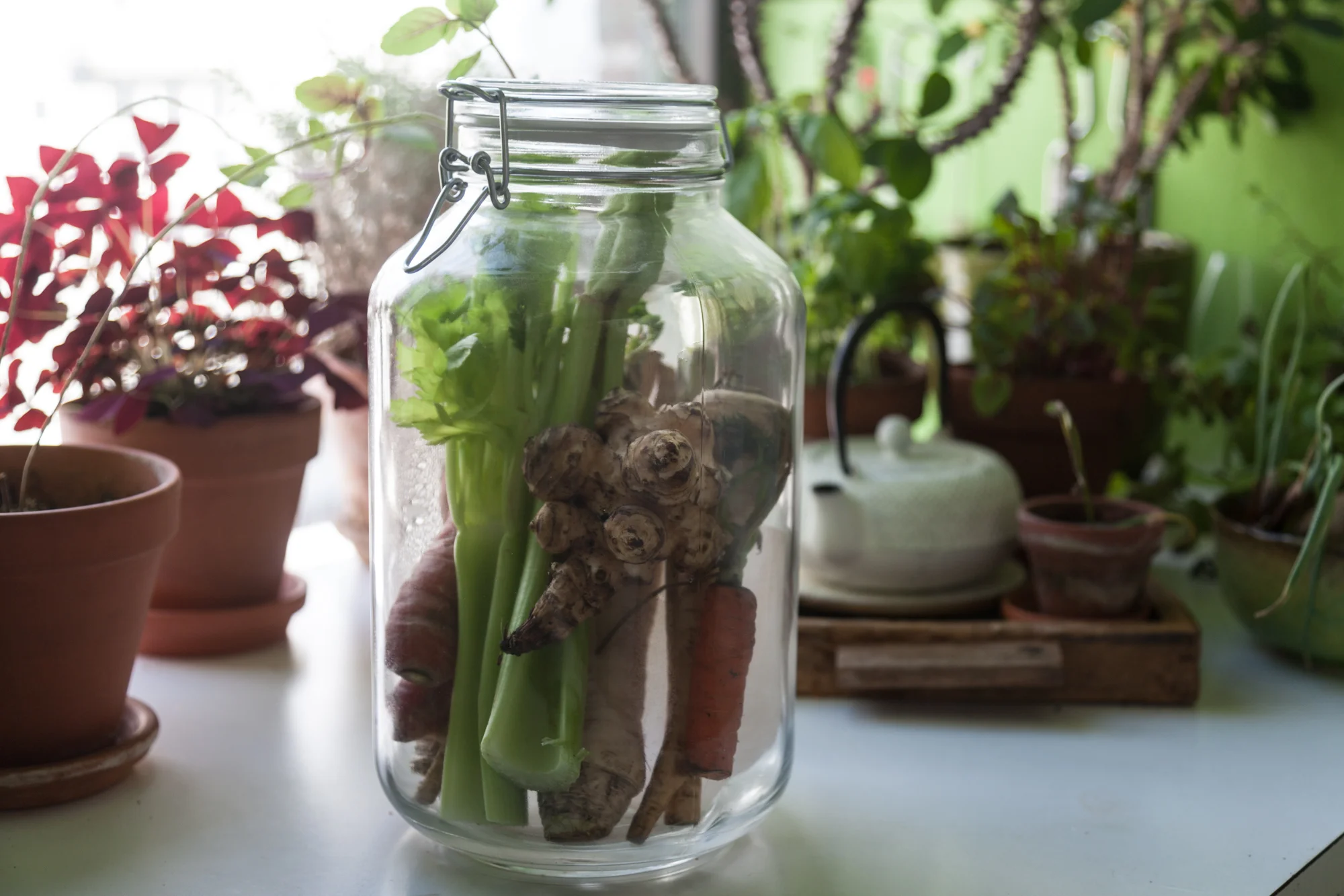 How I keep my fruits and veggies fresh