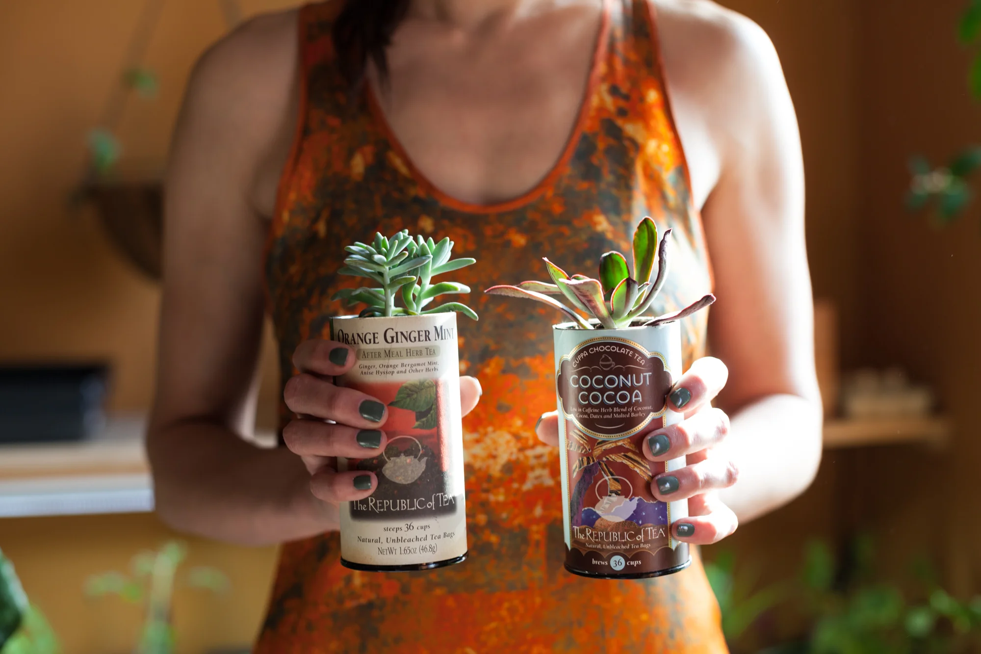 I like to upcycle my tea containers and turn them into homes for succulents—so much so that now two shelves of my window in my green wall room are totally devoted to succulents in tea containers. 