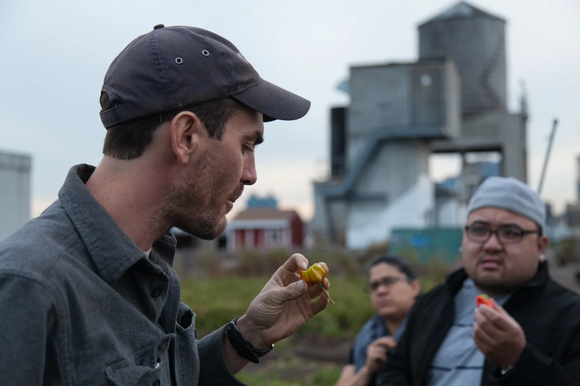 Head Farmer, Ben Flanner takes a workshop group out to collect peppers for a Hot Sauce making workshop at the end of the season. Photo: Summer Rayne Oakes for Foodstand.