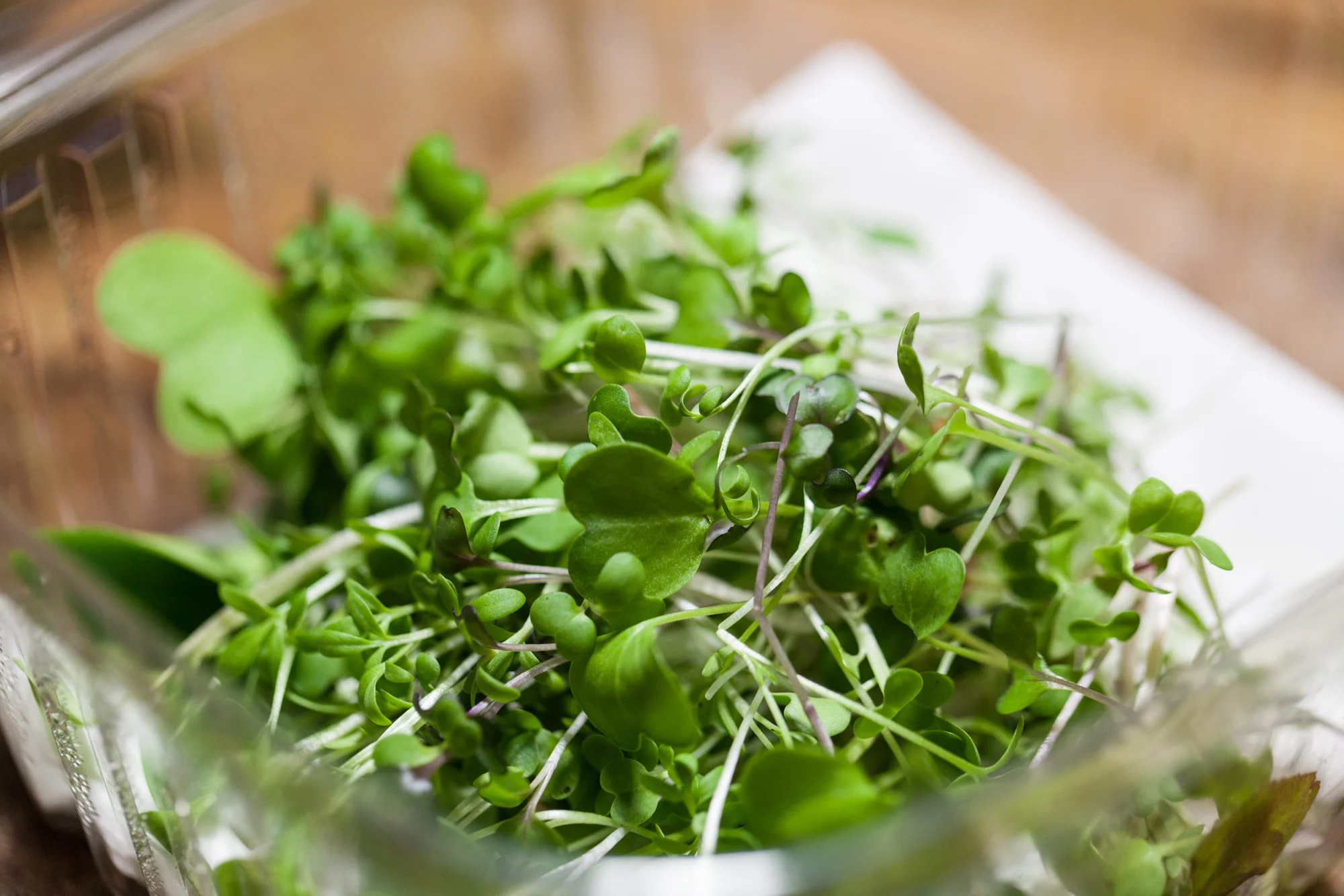 An example of one of my weekly harvests. All microgreens here were grown in my closet garden! Photo: Photo: @HomesteadBrooklyn