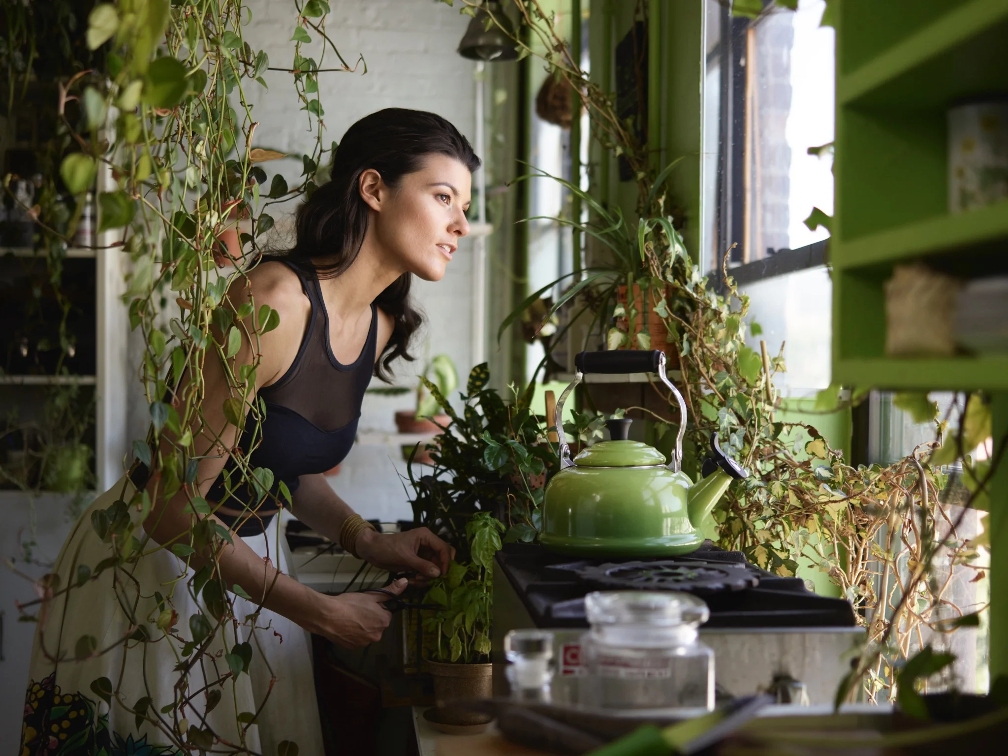 Sometimes when something resonates with someone, you have to ask yourself "Why?" After my green home went viral on the internet, I began to probe deeper into the allure. Photo: Joey L .