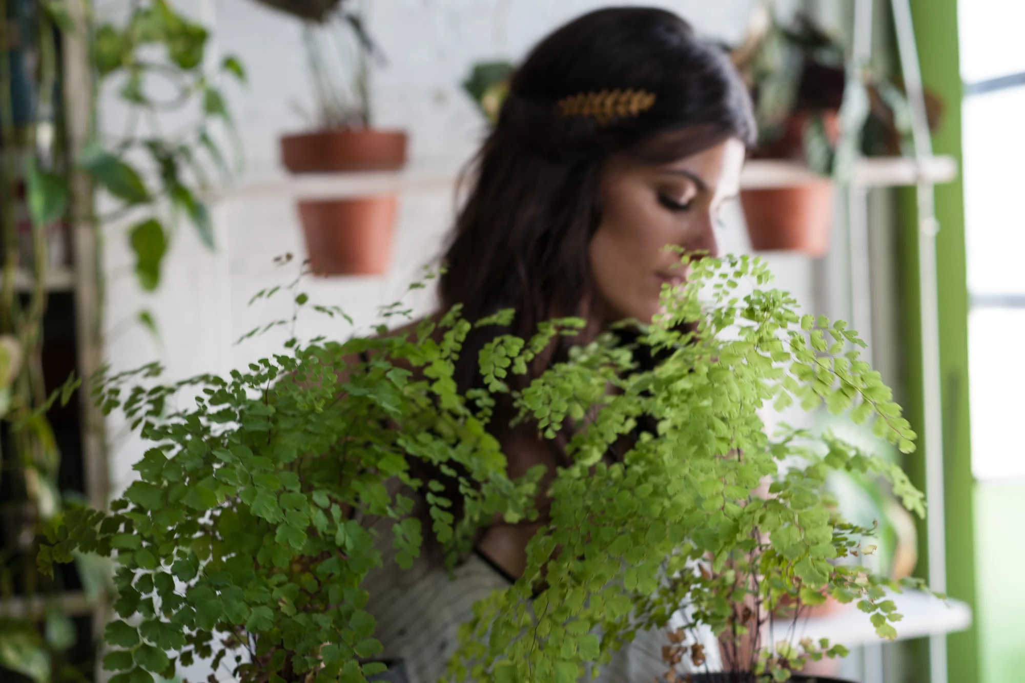 I've learned a lot from living with plants. You can say, in a way, that I've grown with them, as they've grown with me. Photo: @homesteadbrooklyn