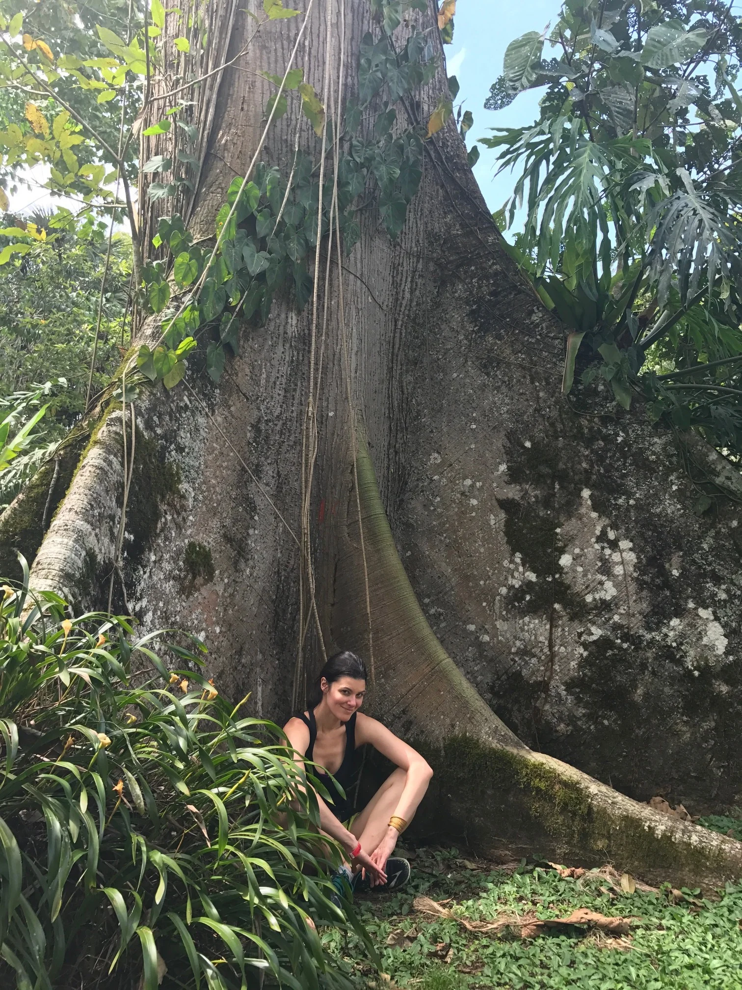 tree-Summer-Rayne-Oakes-Costa-Rica.jpg