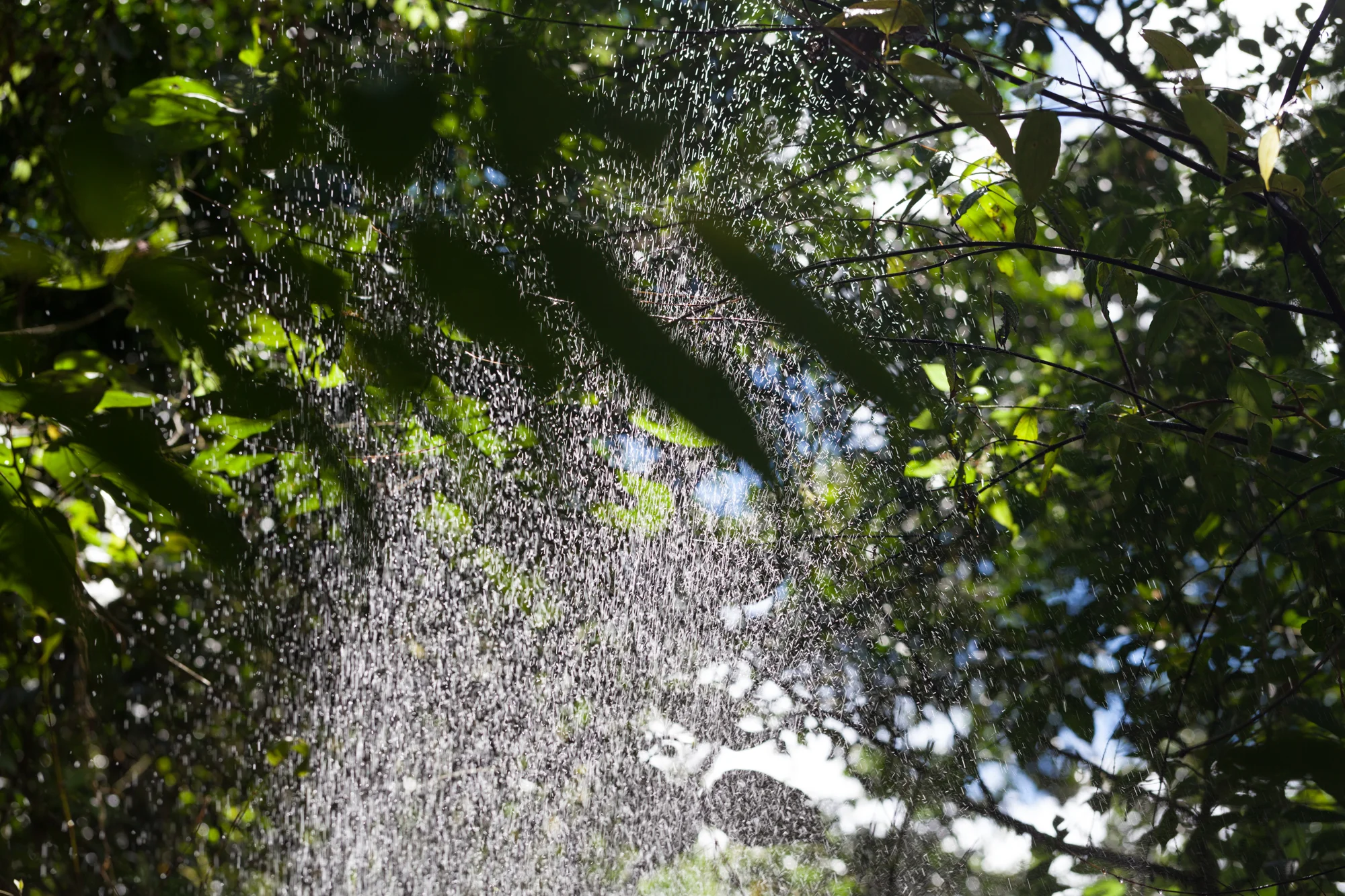 splish-splash-Tapanti-National-Park.jpg