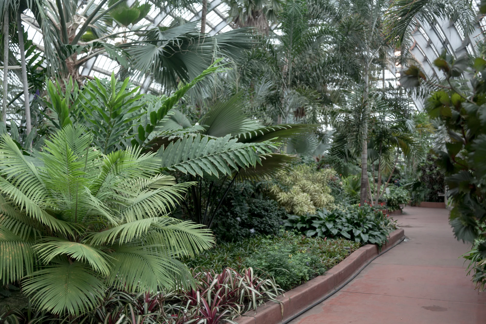 Garfield-Park-Conservatory-Homestead-Brooklyn.jpg