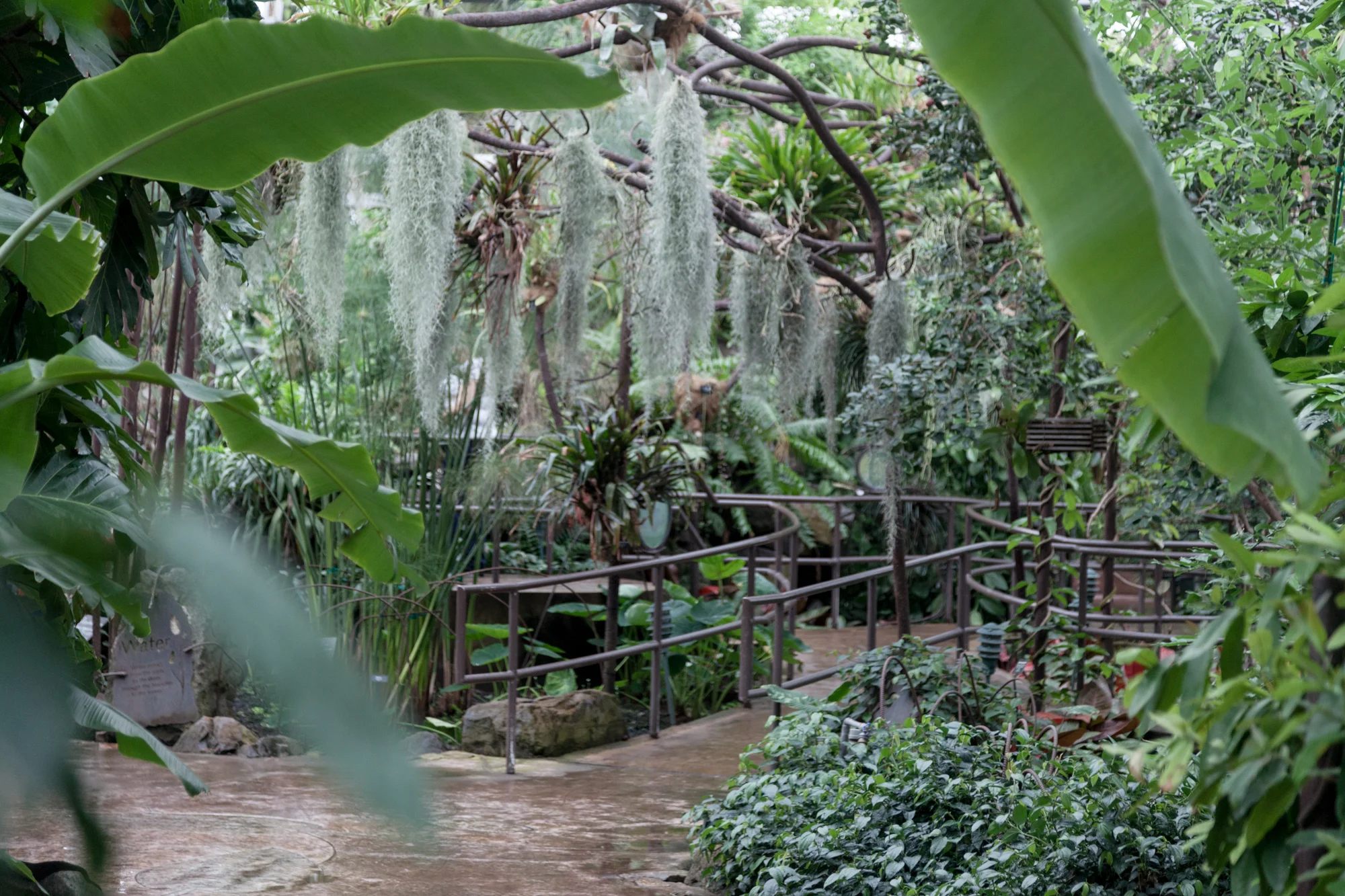 Garfield Park Conservatory.jpg